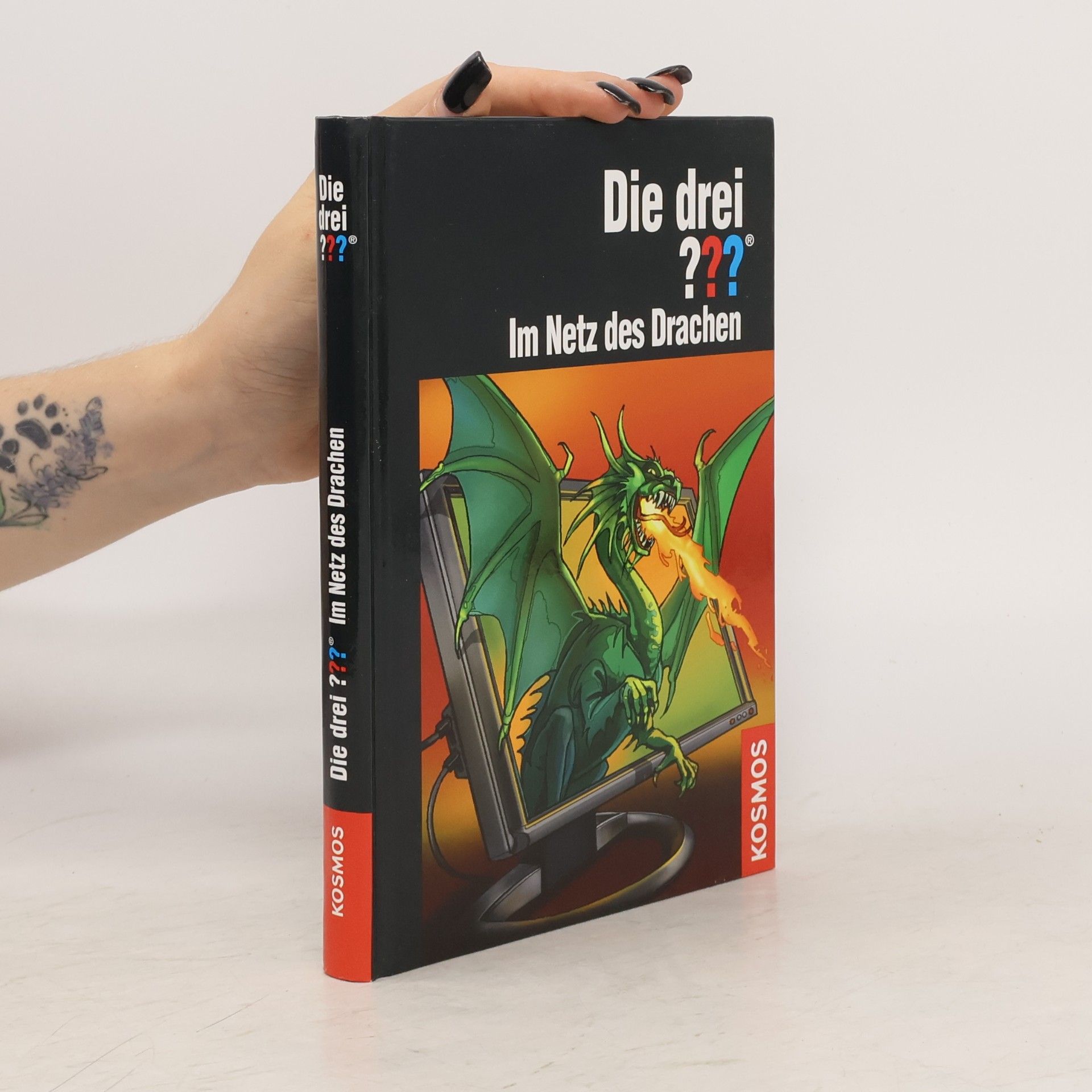 Die drei Fragezeichen, Im Netz des Drachen