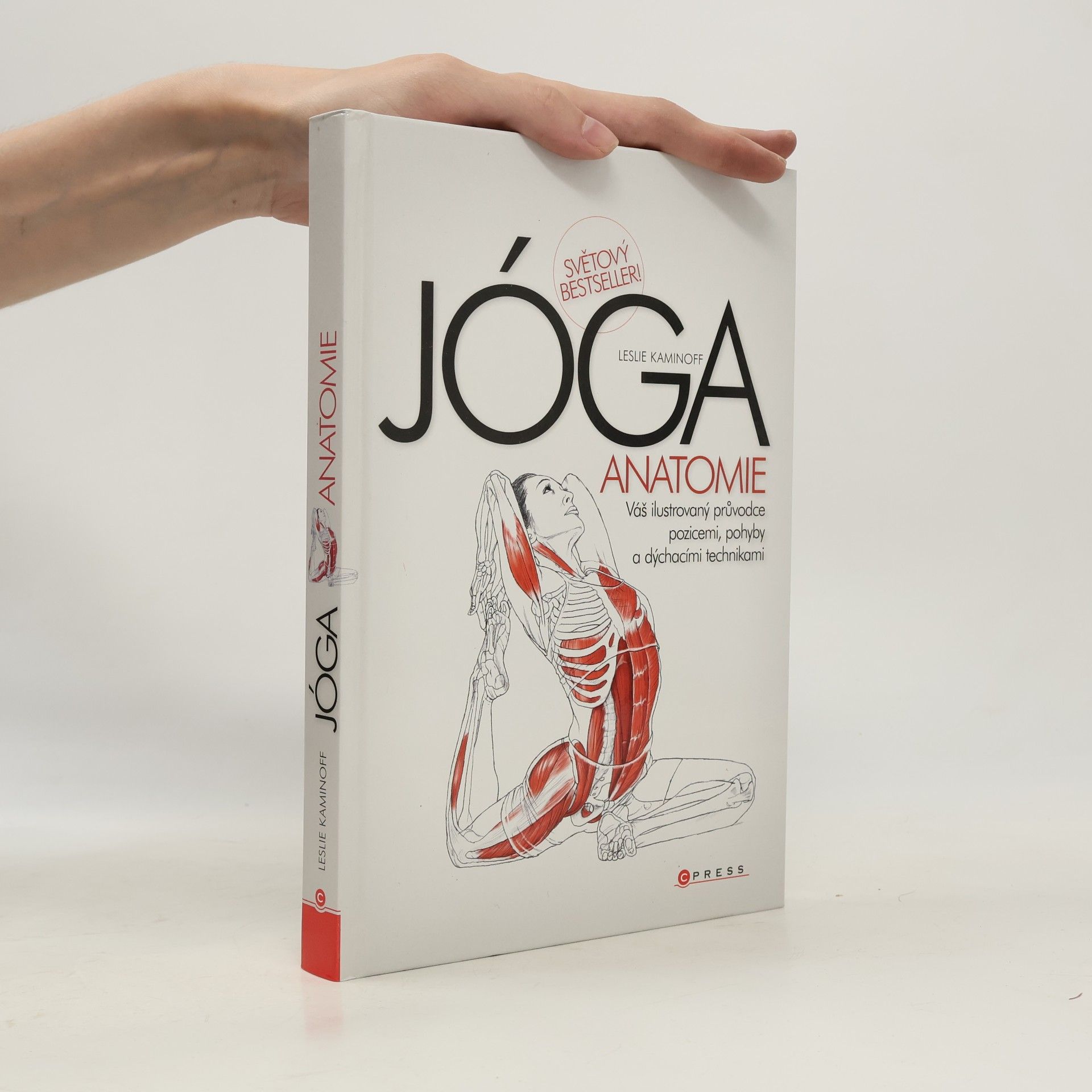 Leslie Kaminoff Jóga - anatomie
