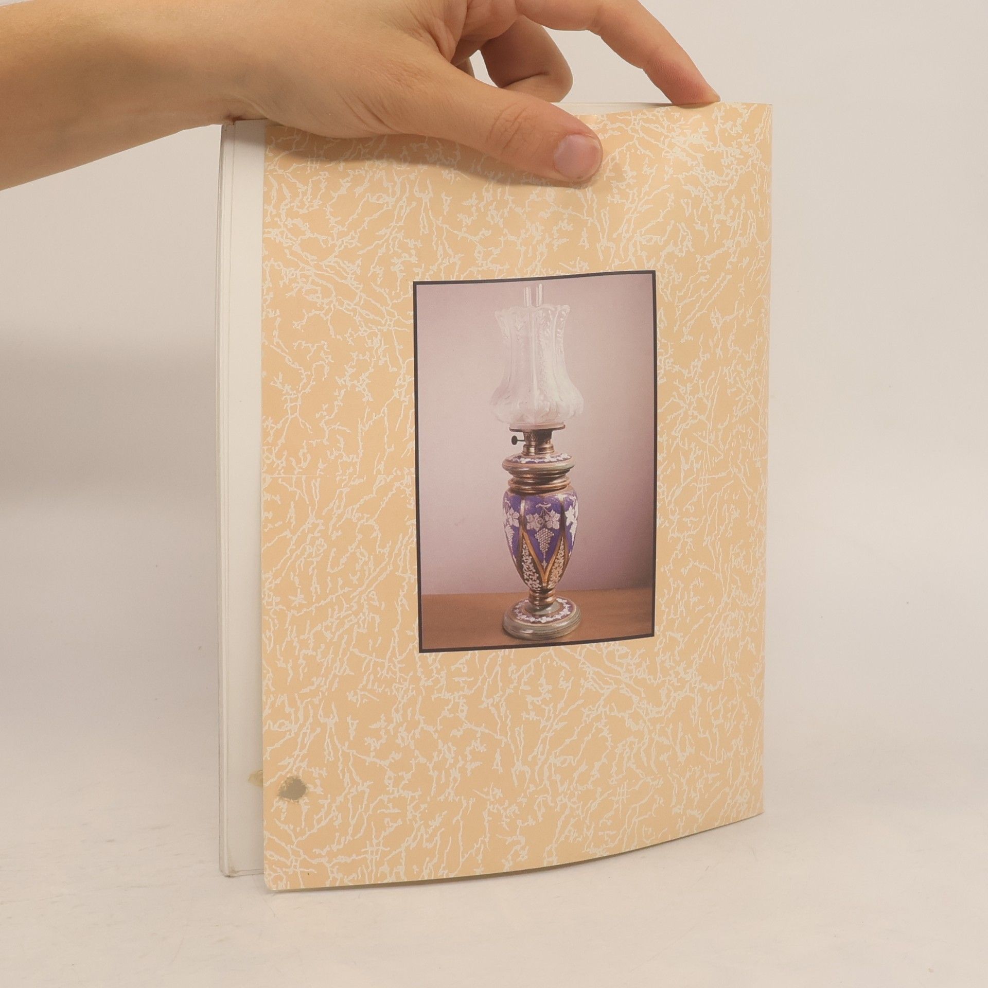 Česko Uměleckoprůmyslový odbor Moravská galerie Brno Český porcelán a sklo 19. století