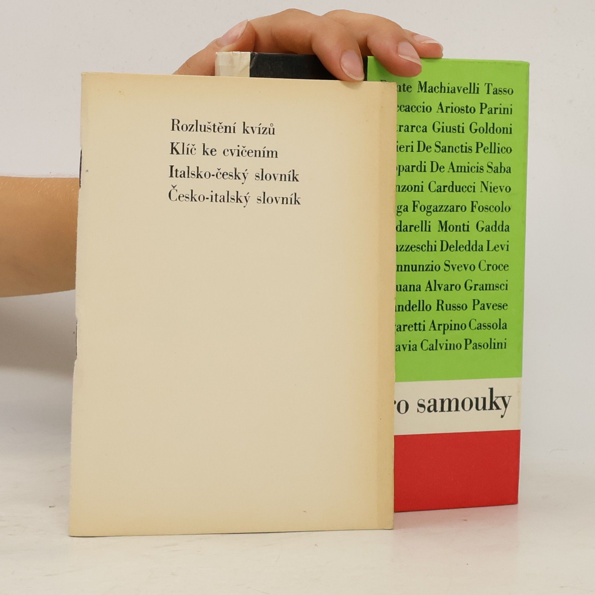 Autorenkollektiv Italština pro samouky