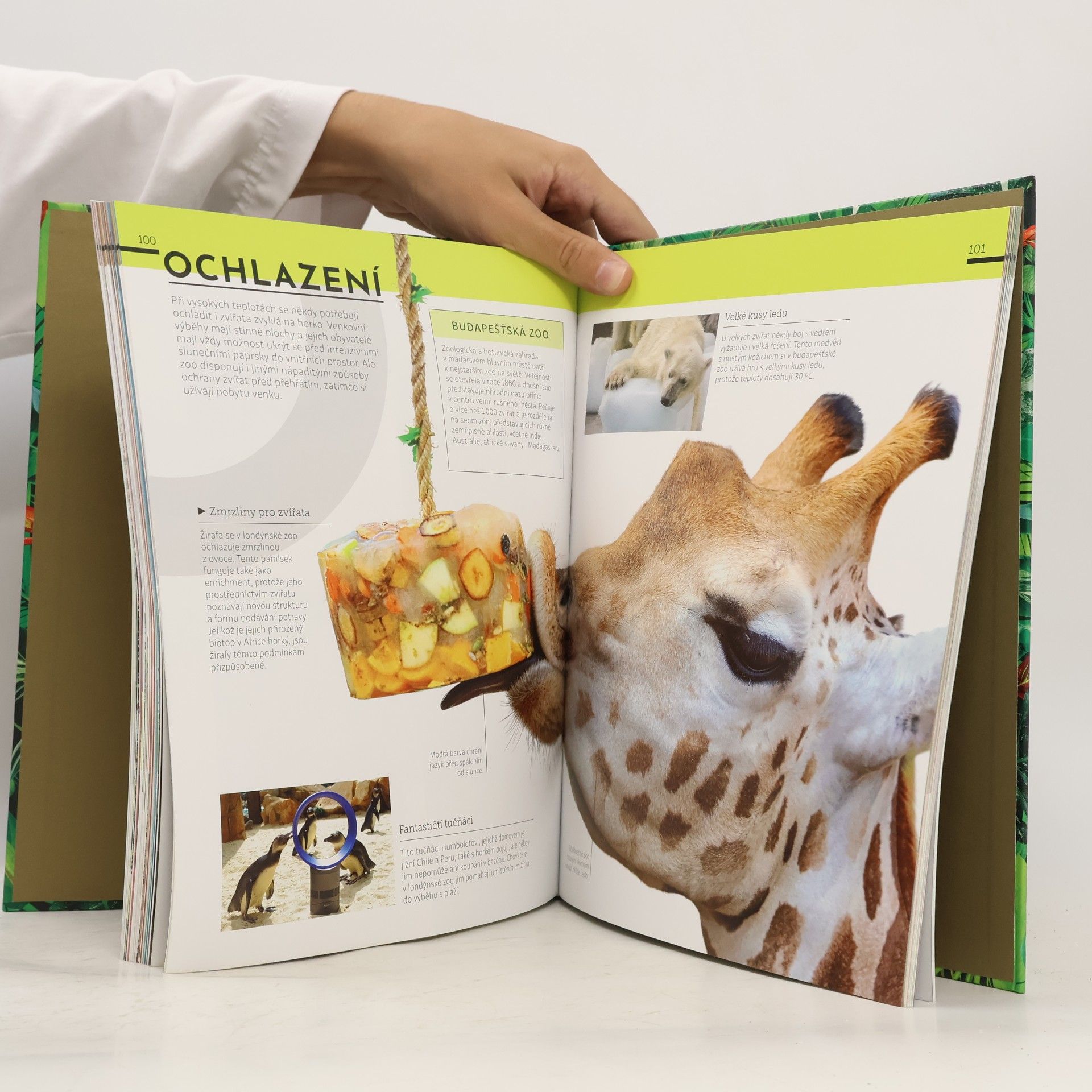 Zdeněk Haštaba V zákulisí ZOO : neomezená vstupenka do největších světových zoo a akvárií