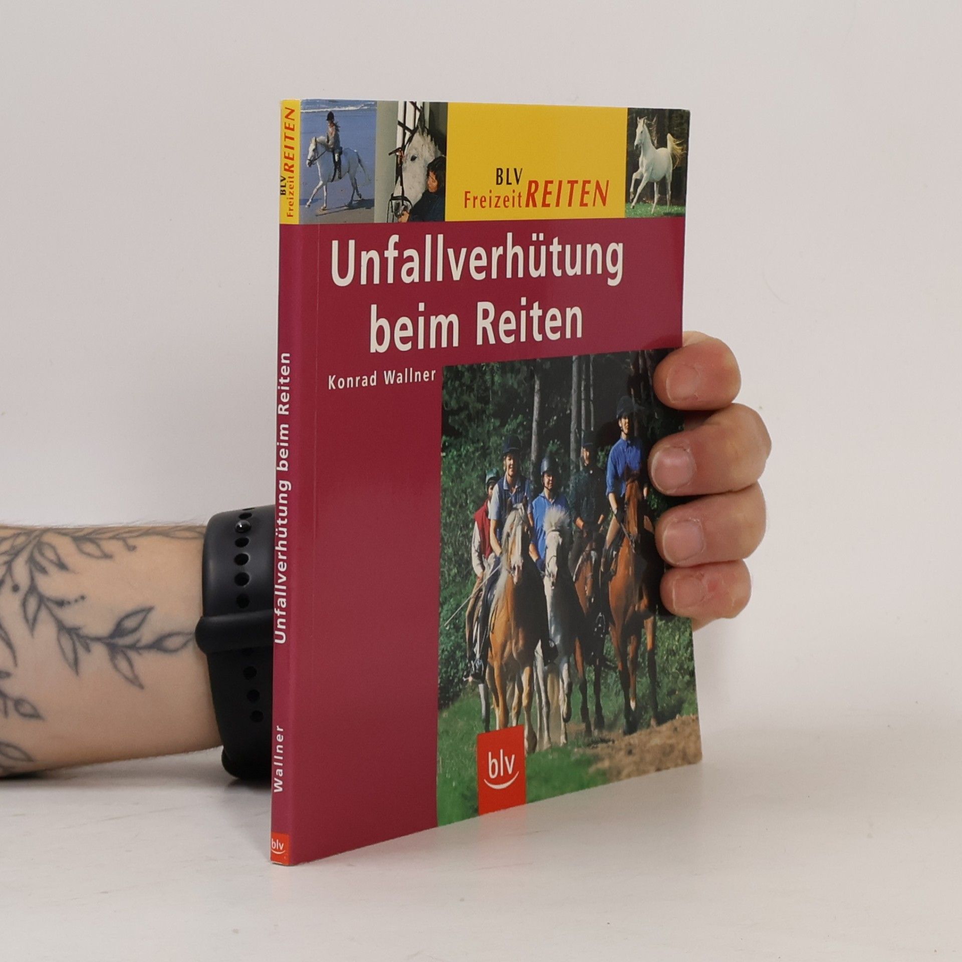 Konrad Wallner Unfallverhütung beim Reiten
