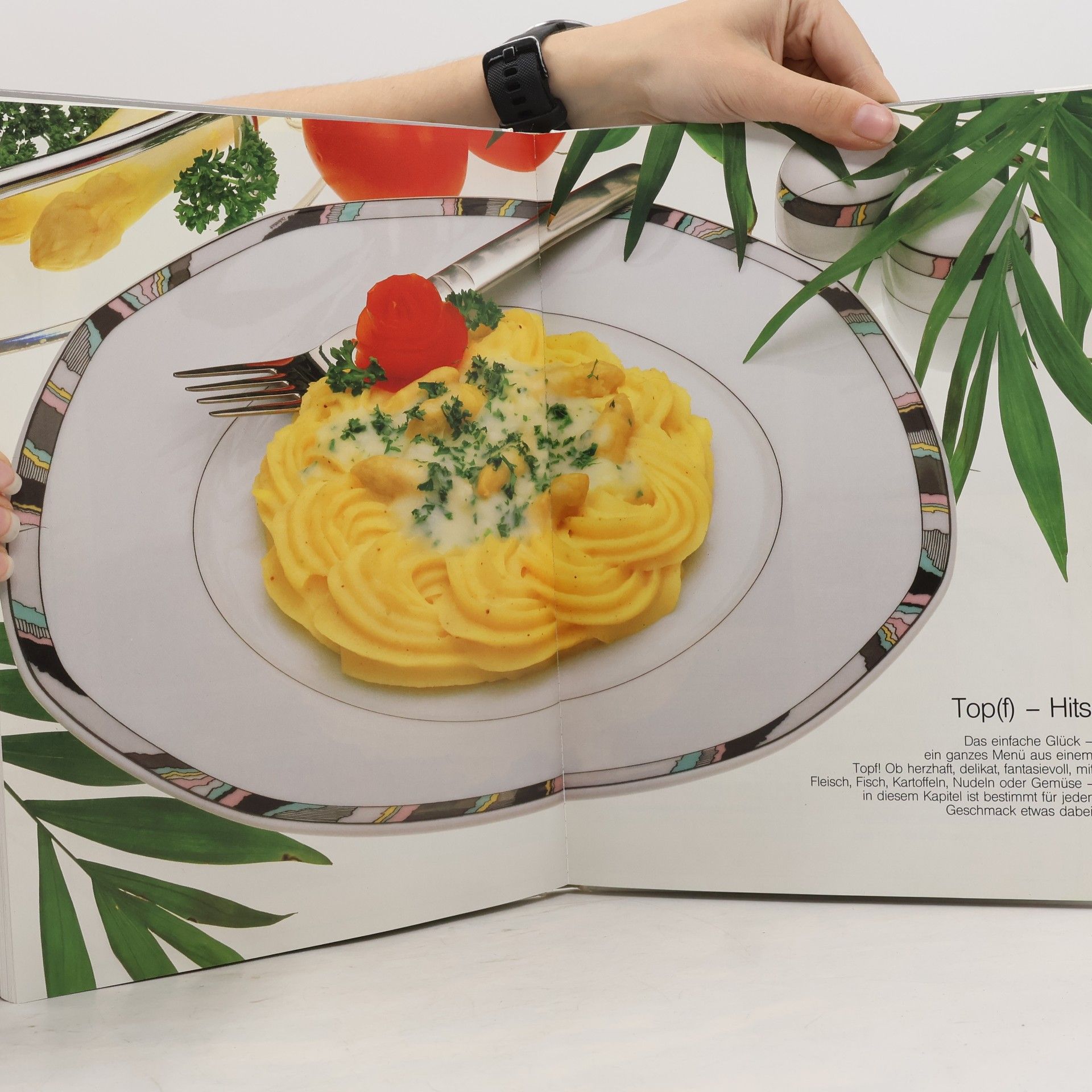 Autorenkollektiv Schnell gekocht