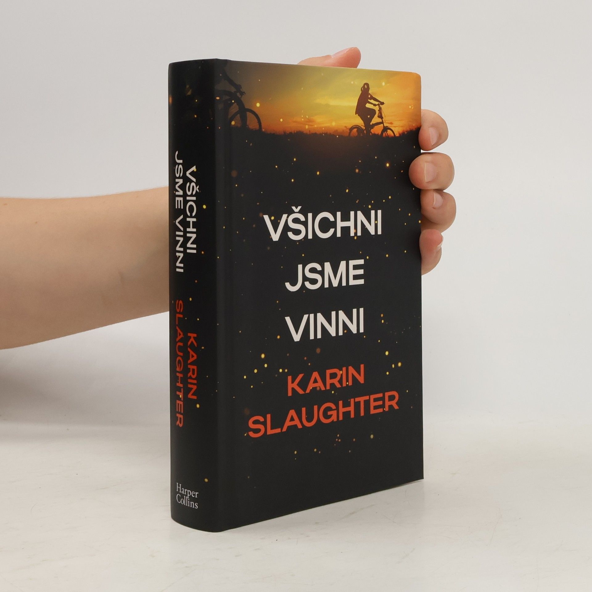 Karin Slaughter Všichni jsme vinni