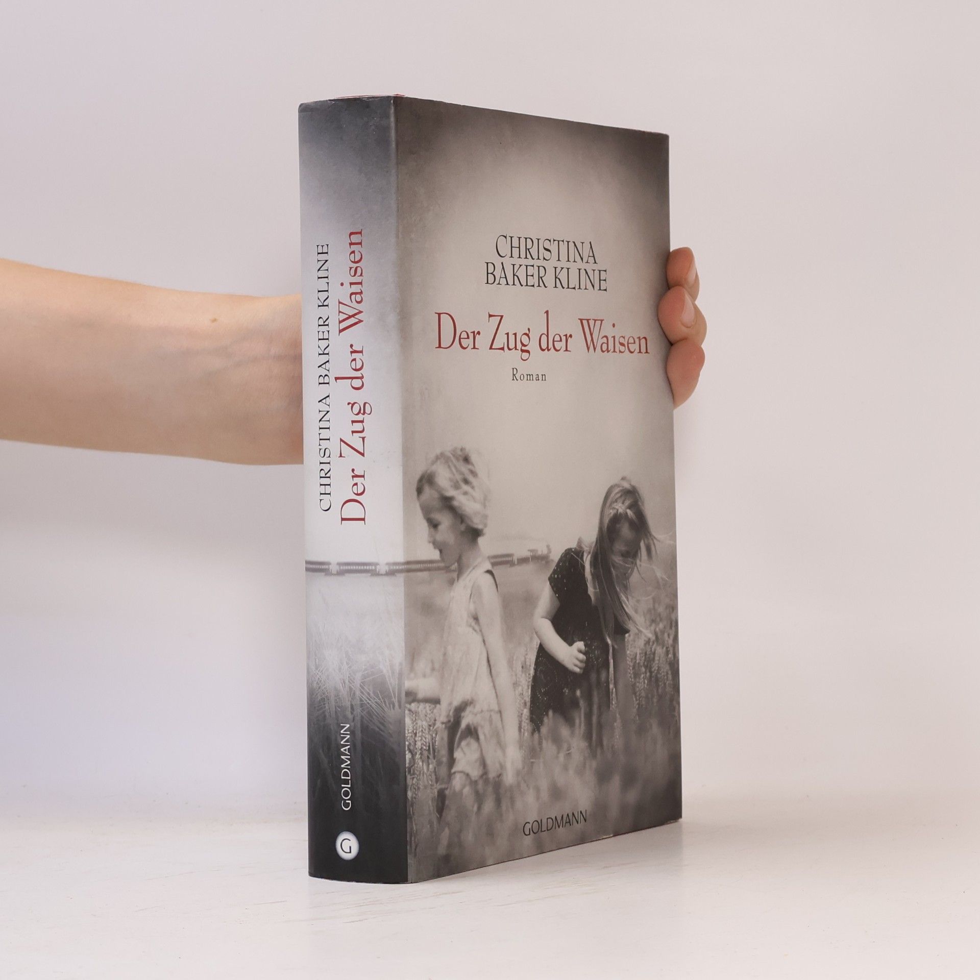 Christina Baker Kline Der Zug der Waisen