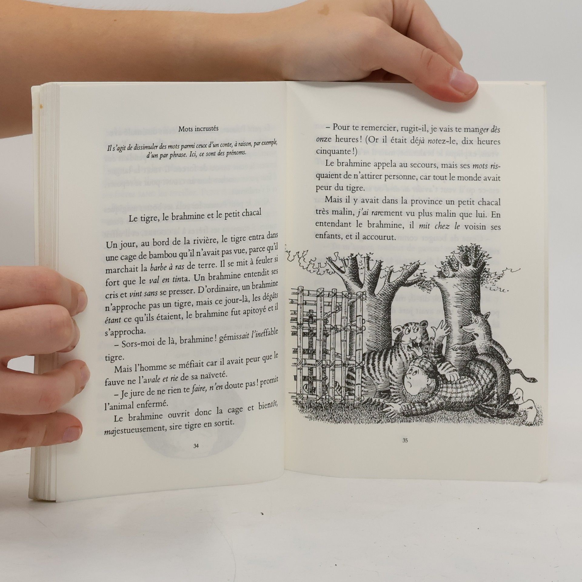 Yak Rivais Les Contes du miroir