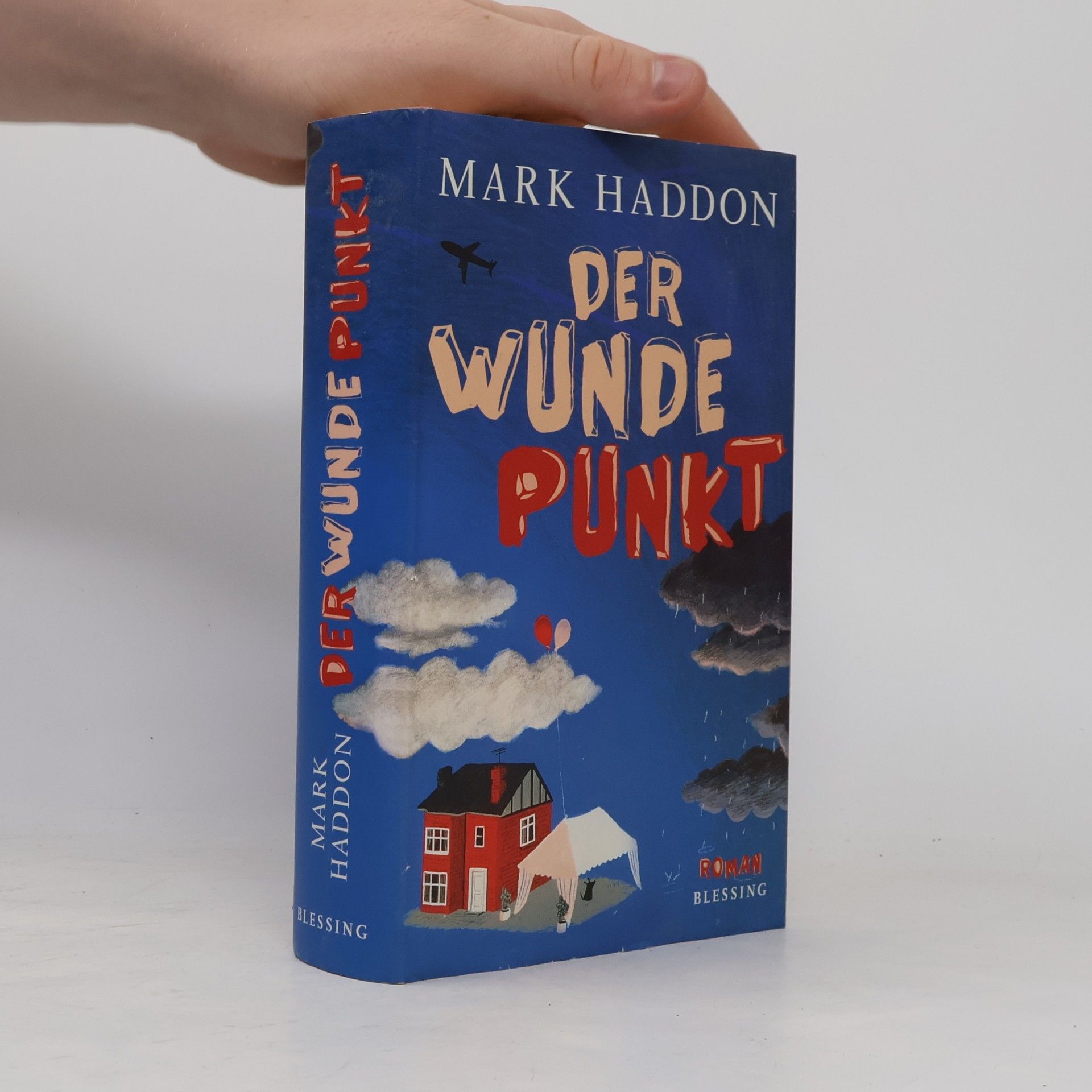 Mark Haddon Der wunde Punkt