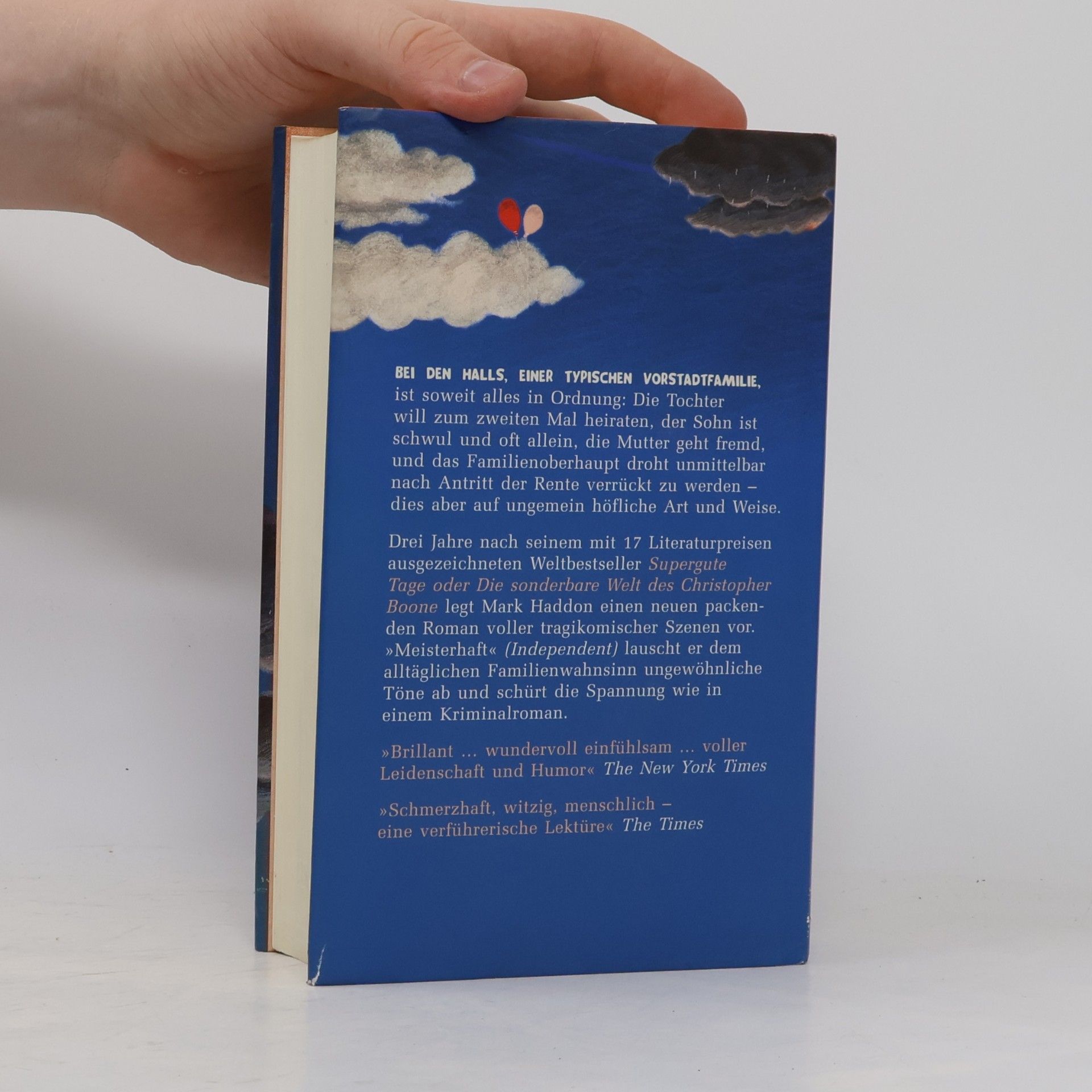 Mark Haddon Der wunde Punkt