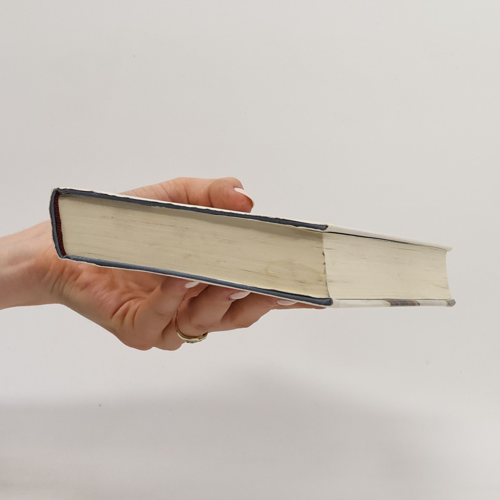 Peter Sloterdijk Im Weltinnenraum des Kapitals