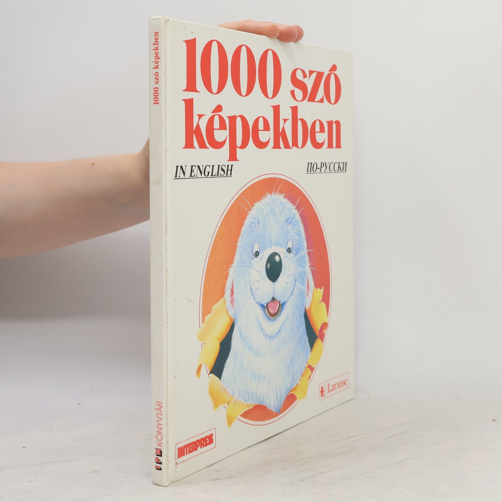 Armelle Le Bigot-Macaux 1000 szó képekben