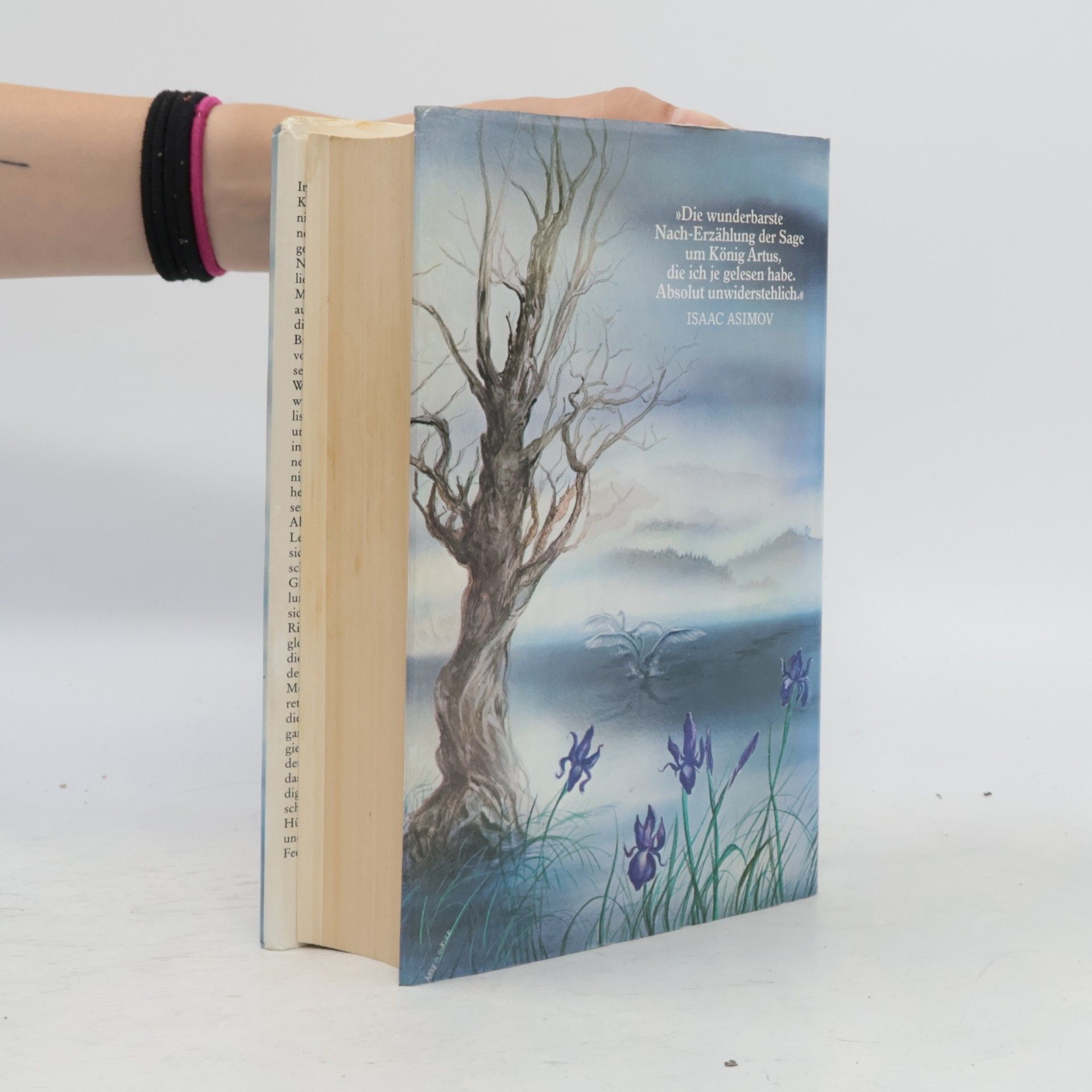 Marion Zimmer Bradley Die Nebel von Avalon