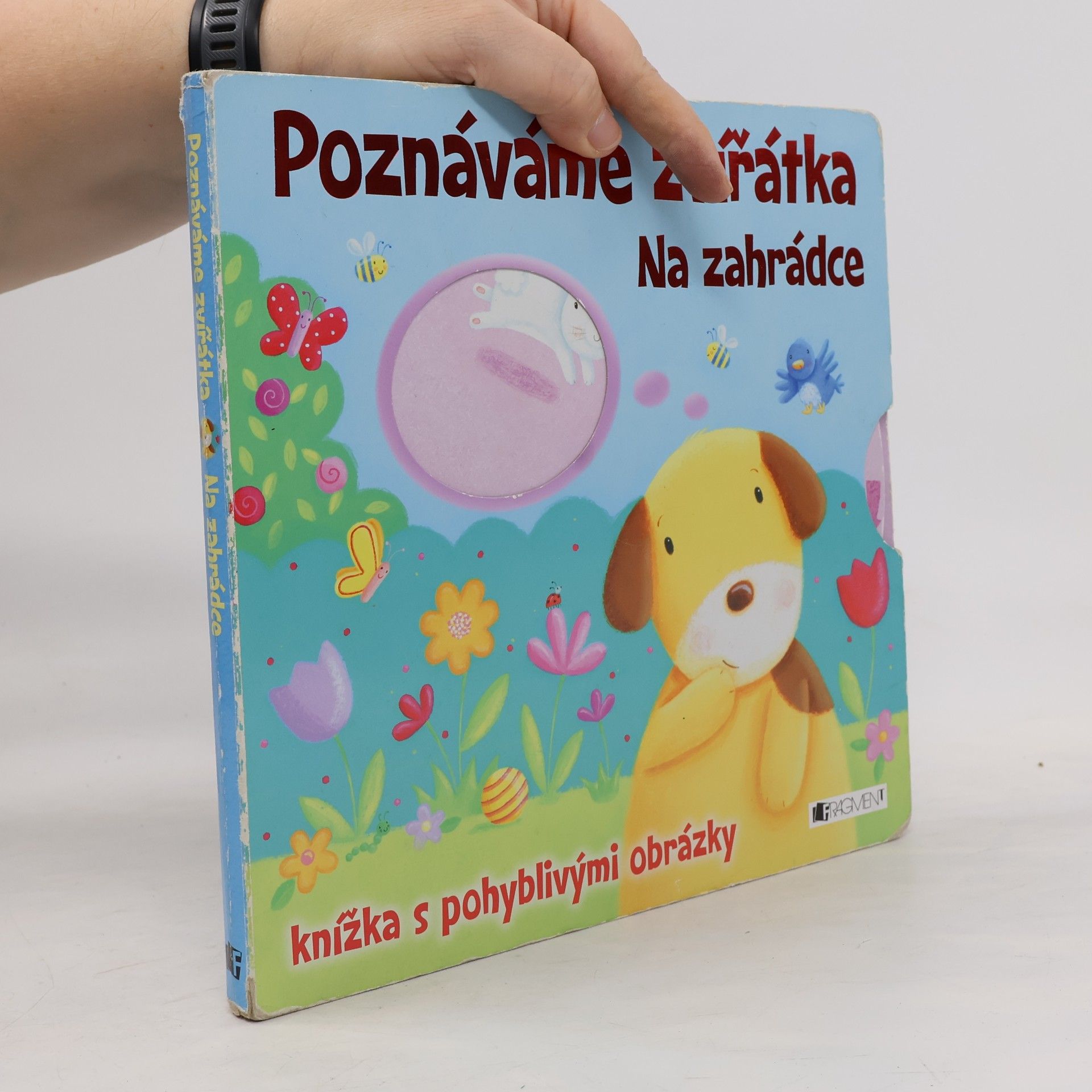 Autorenkollektiv Poznáváme zvířátka: Na zahrádce