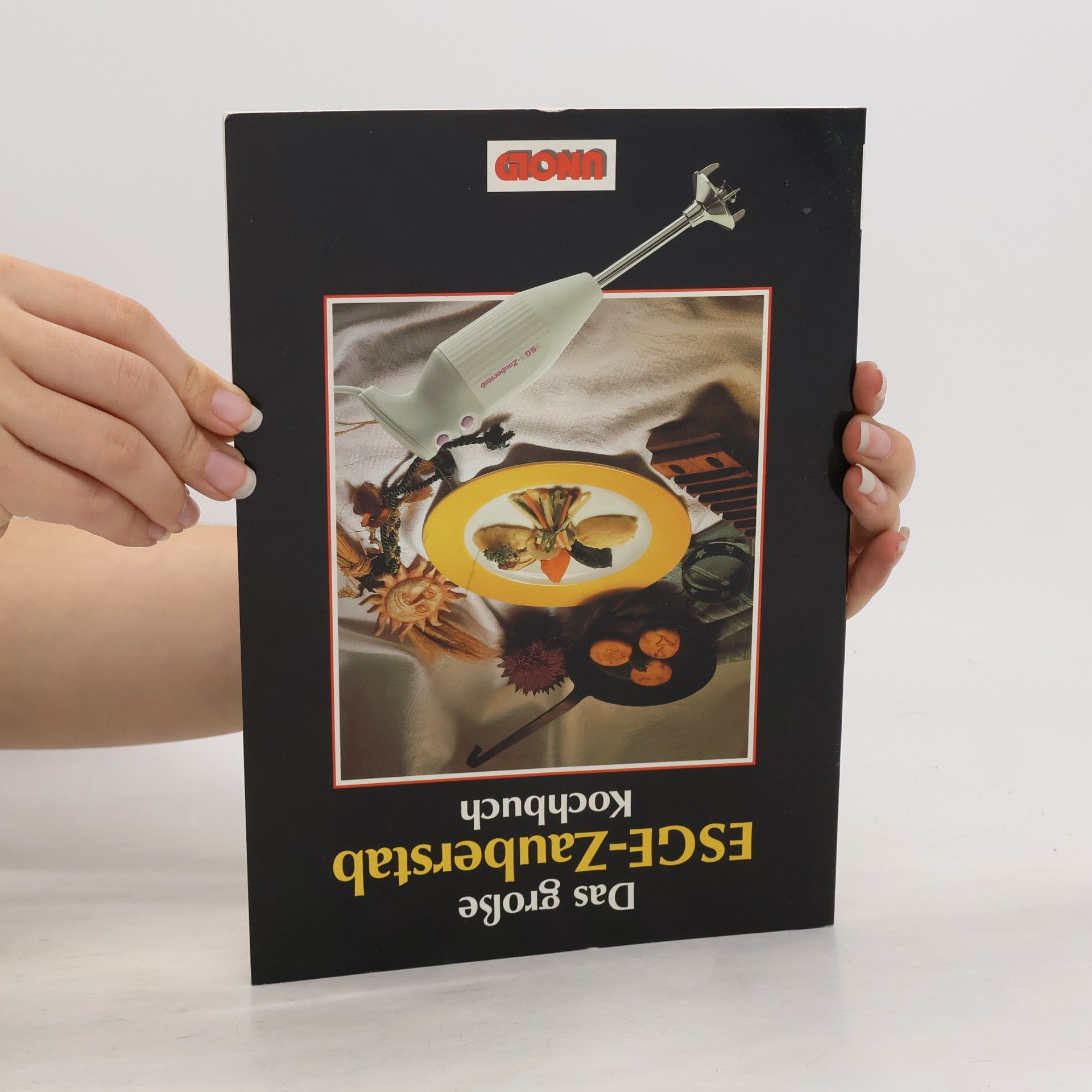 Autorenkollektiv Das große ESGE-Zauberstab Kochbuch