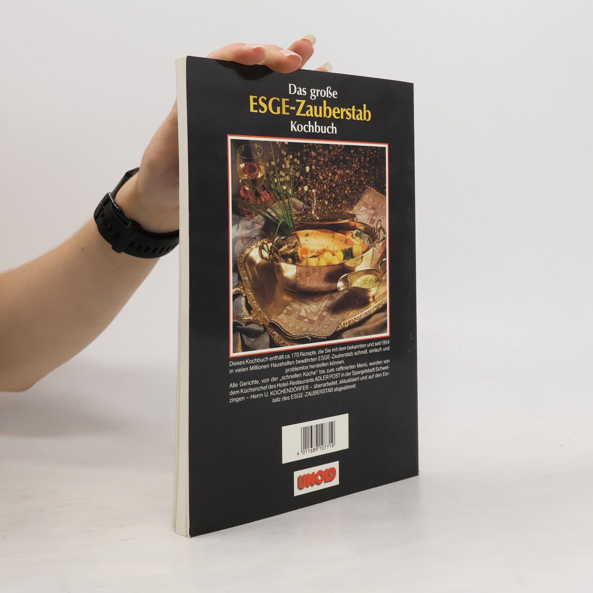 Autorenkollektiv Das große ESGE-Zauberstab Kochbuch