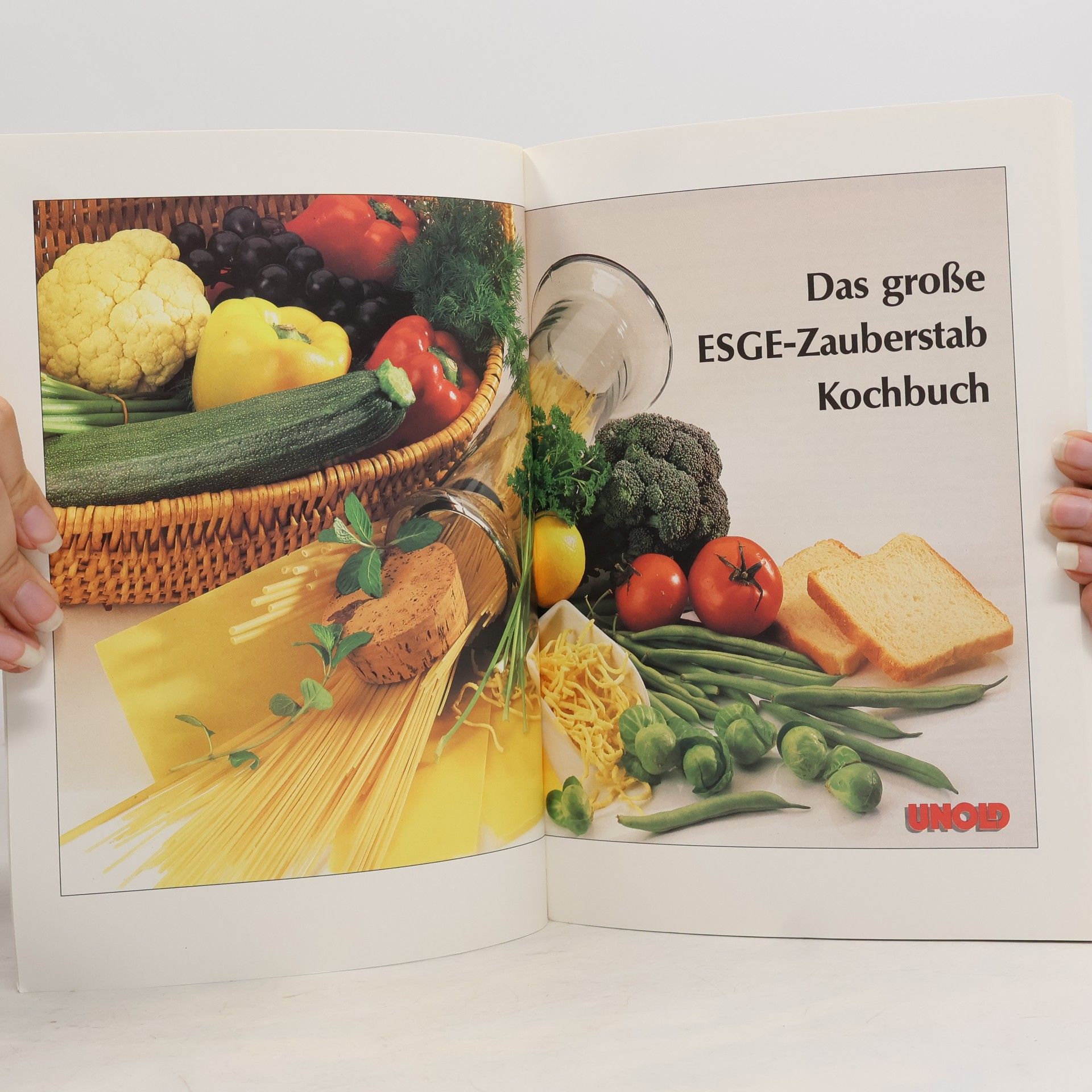 Autorenkollektiv Das große ESGE-Zauberstab Kochbuch