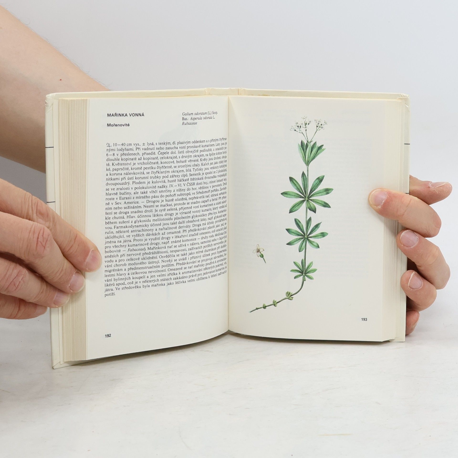Václav Jirásek Kapesní atlas léčivých rostlin