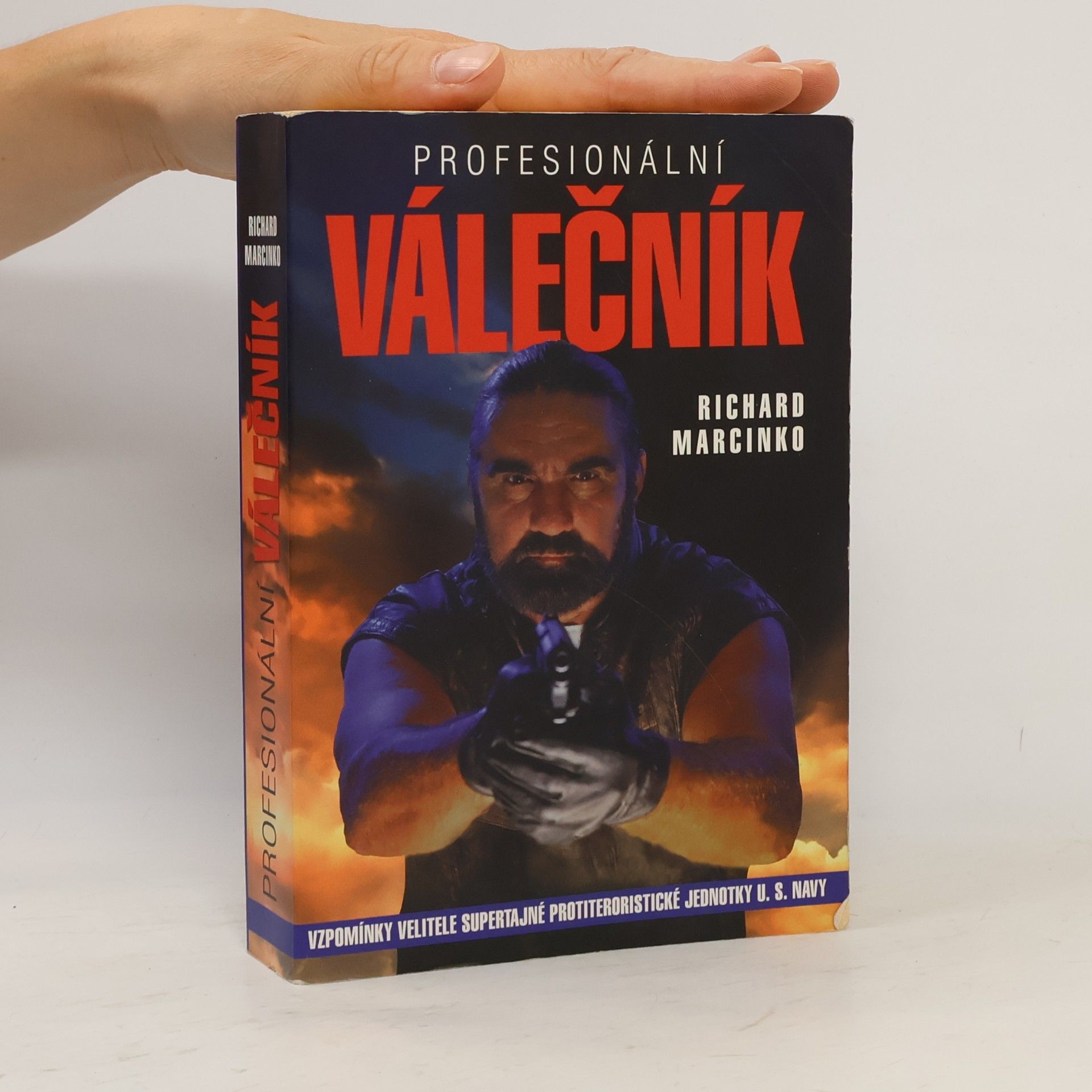 Profesionální válečník