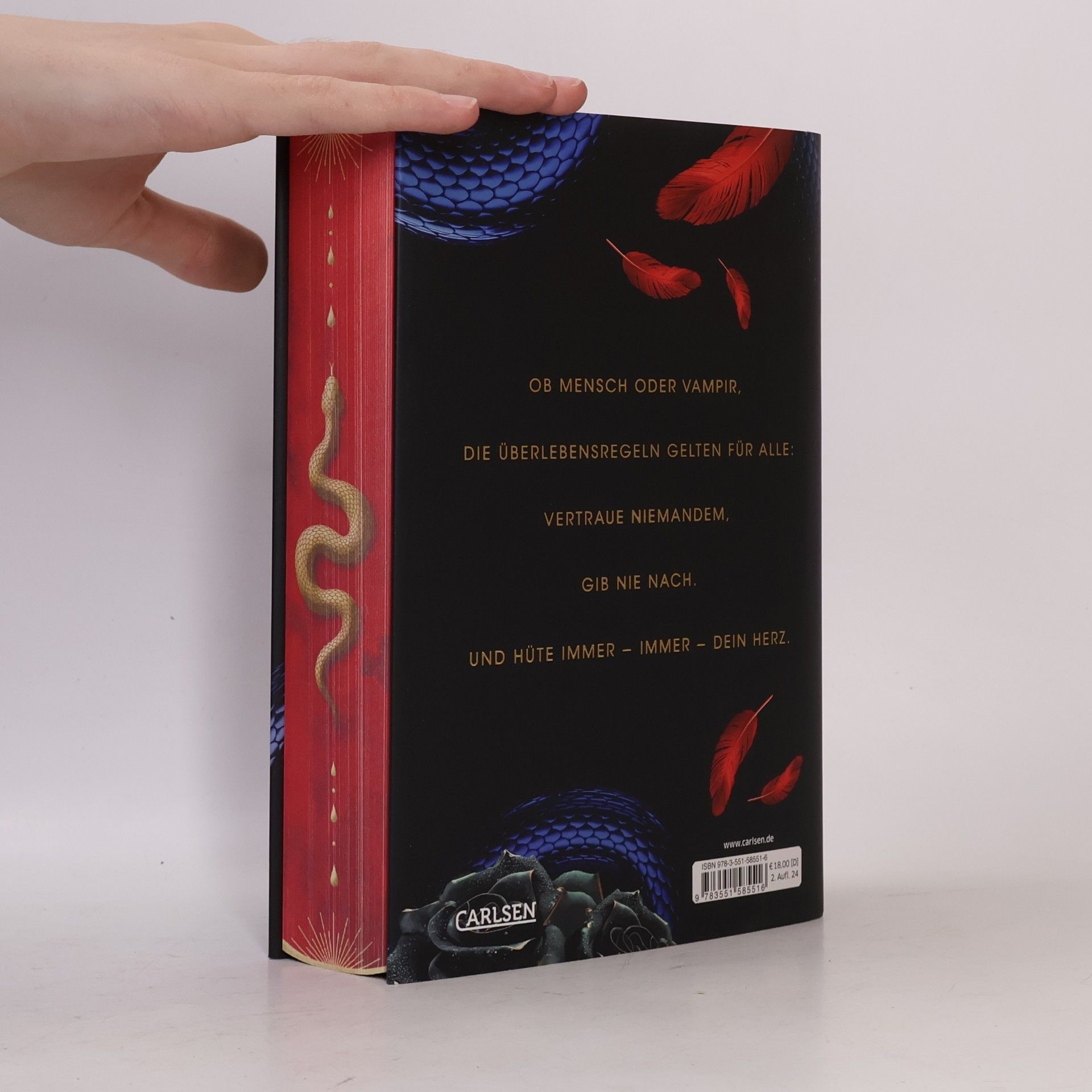 Carissa Broadbent The Serpent and The Wings of Night