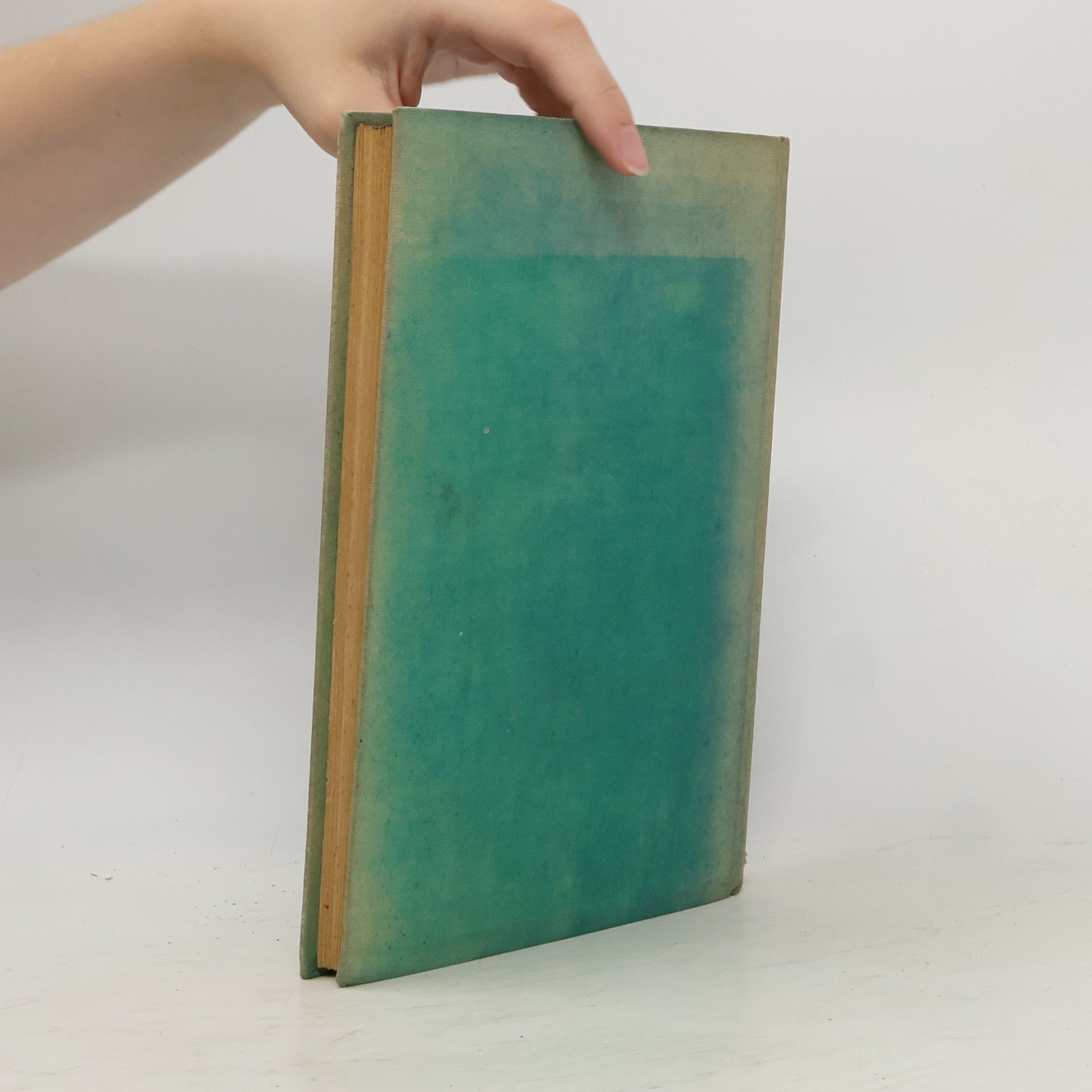 Edmond de Goncourt Das Dienstmädchen Germinie