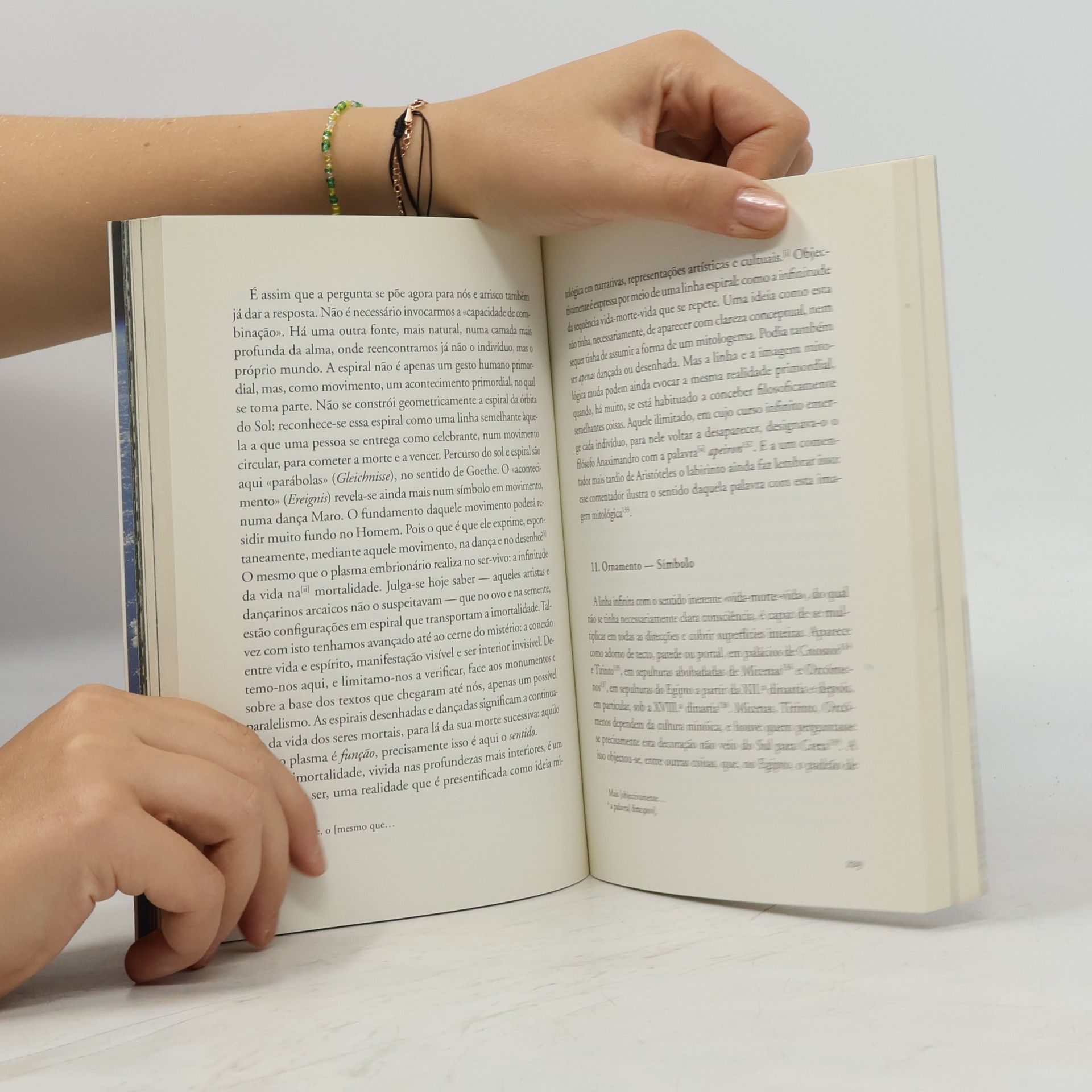 Károly Kerényi Estudos do labirinto