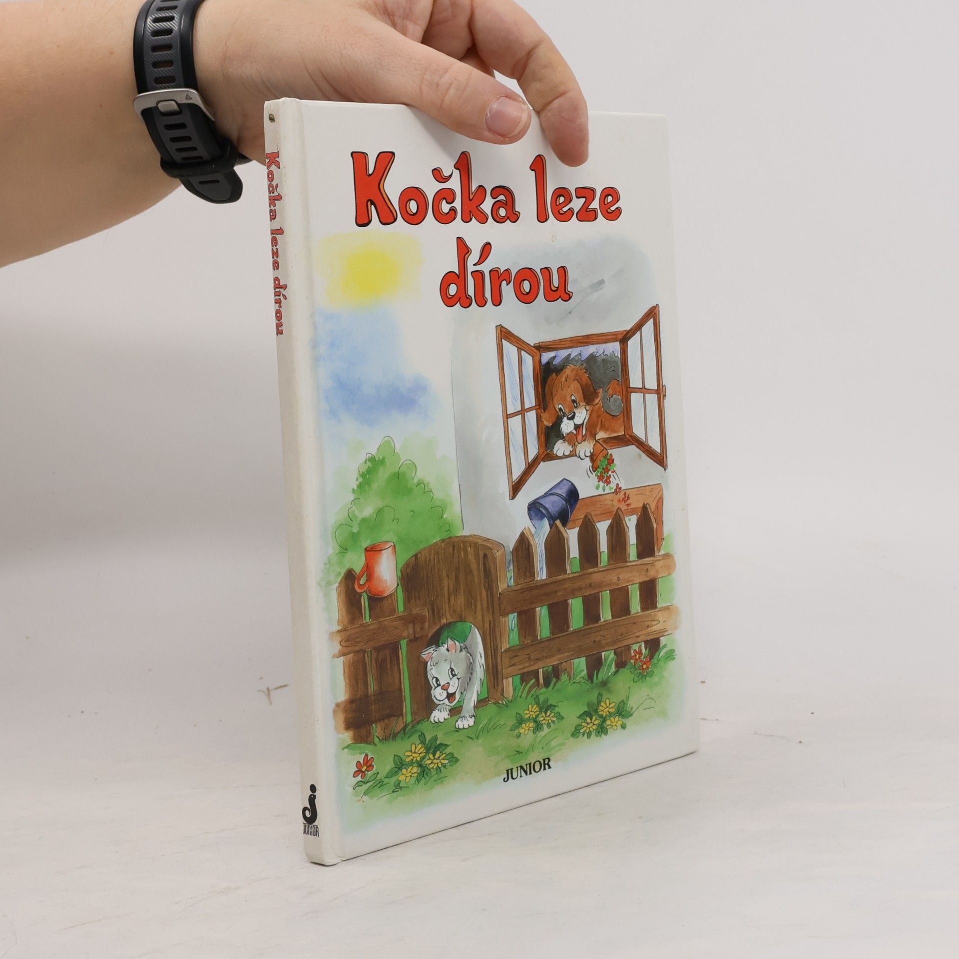 Vladimíra Vopičková Kočka leze dírou