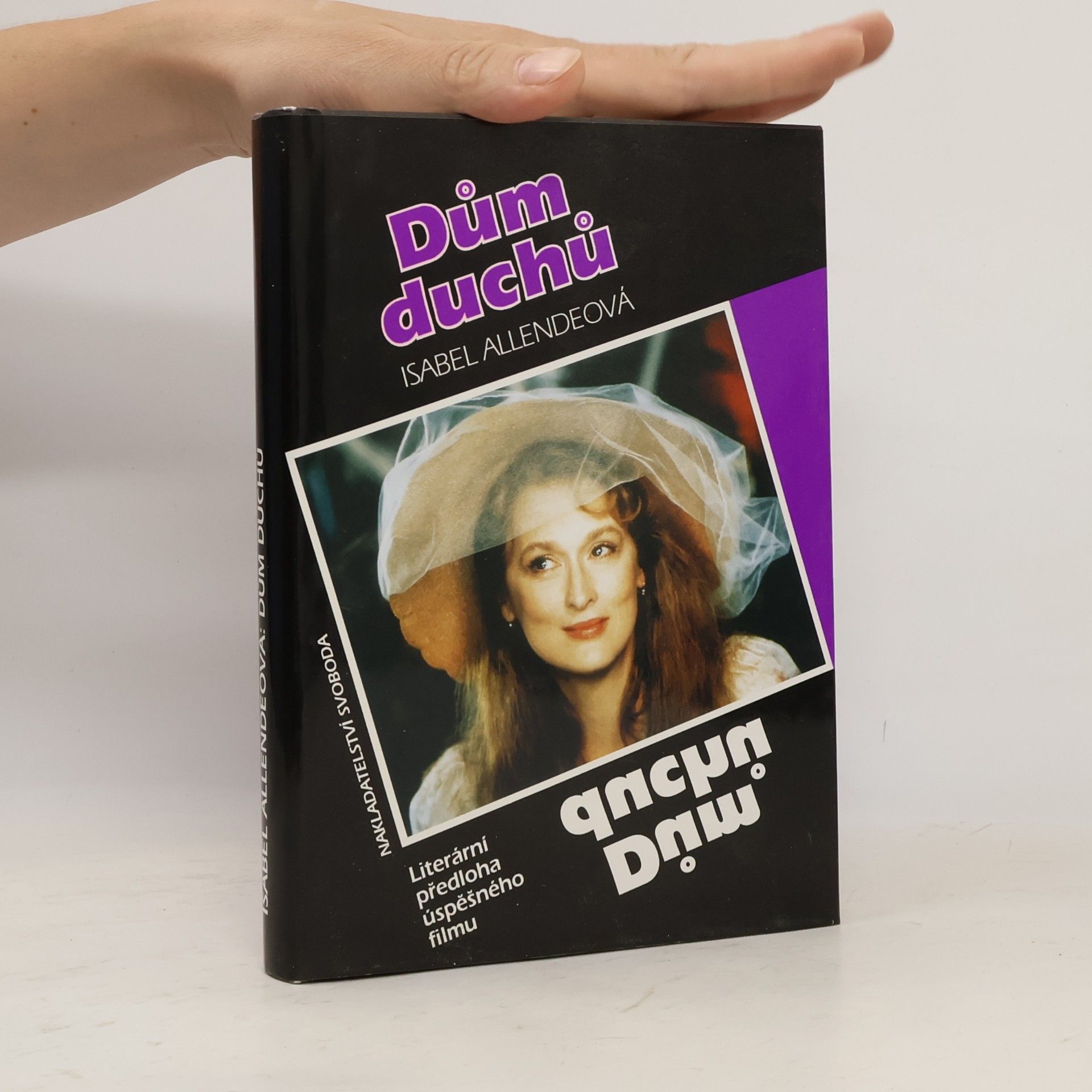 Isabel Allende Dům duchů