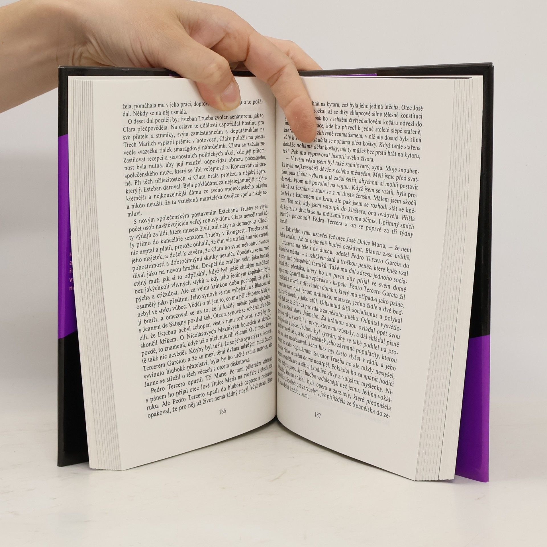Isabel Allende Dům duchů