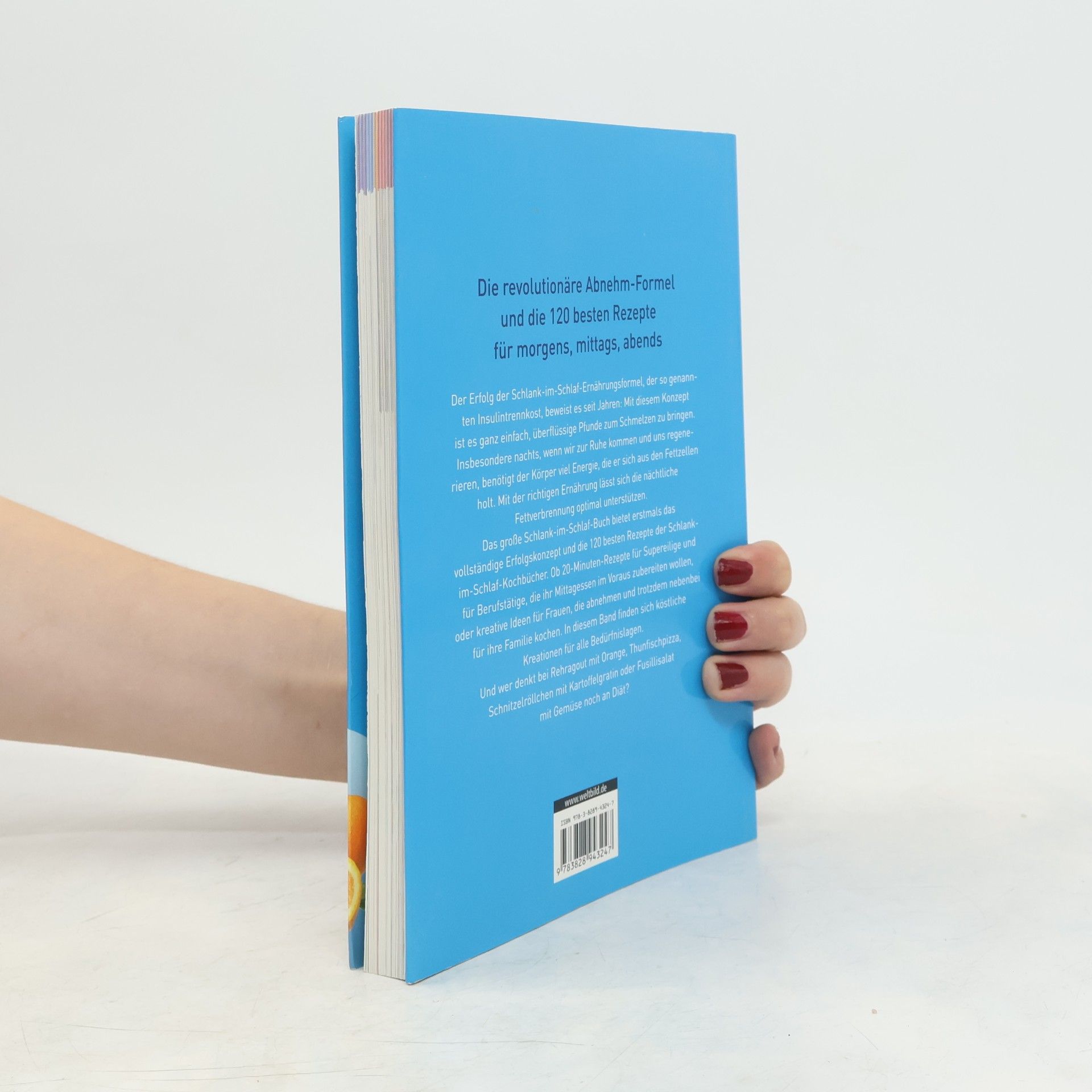 Detlef Pape Das grosse Schlank-im-Schlaf-Buch