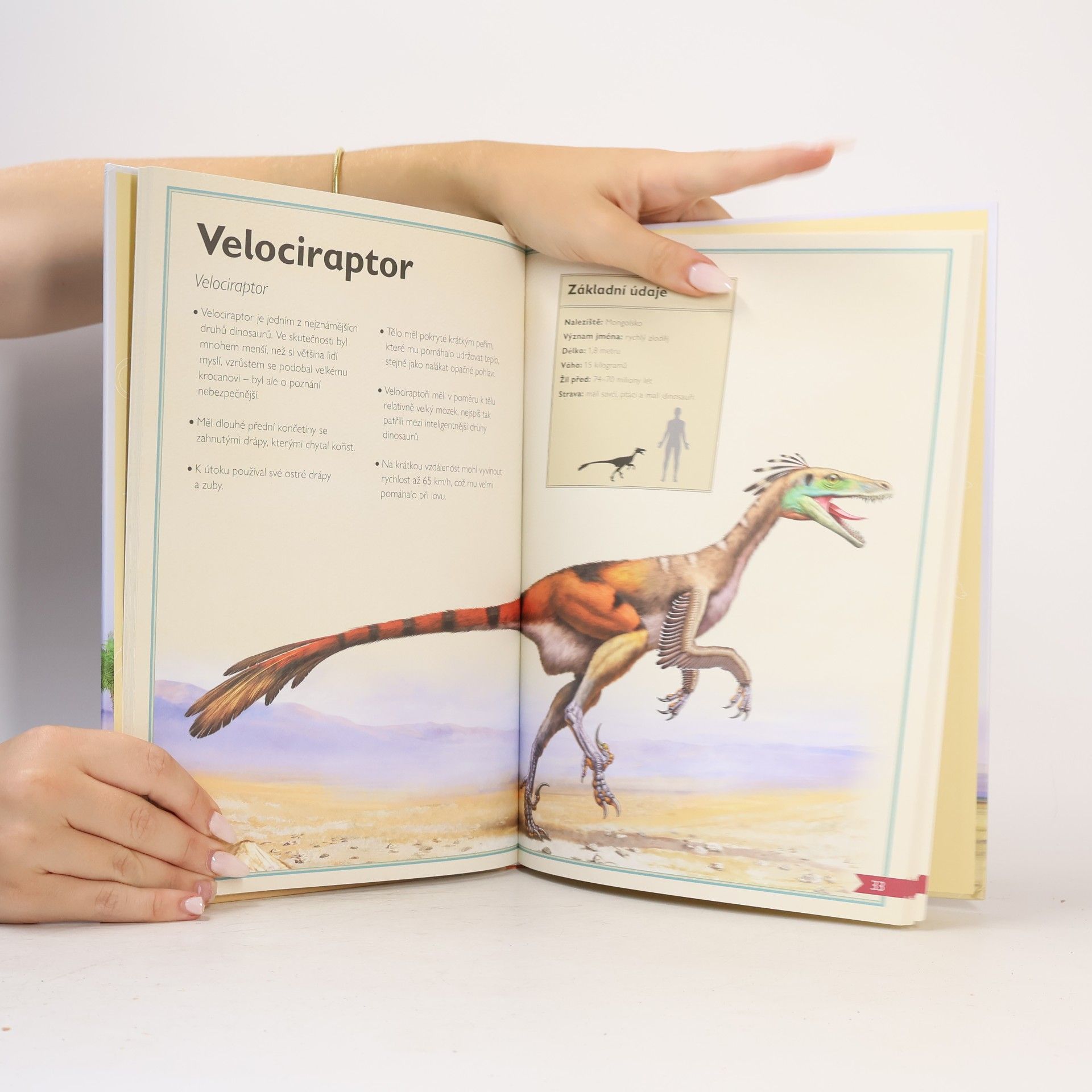 Tom Jackson Dinosauři a další pravěcí tvorové