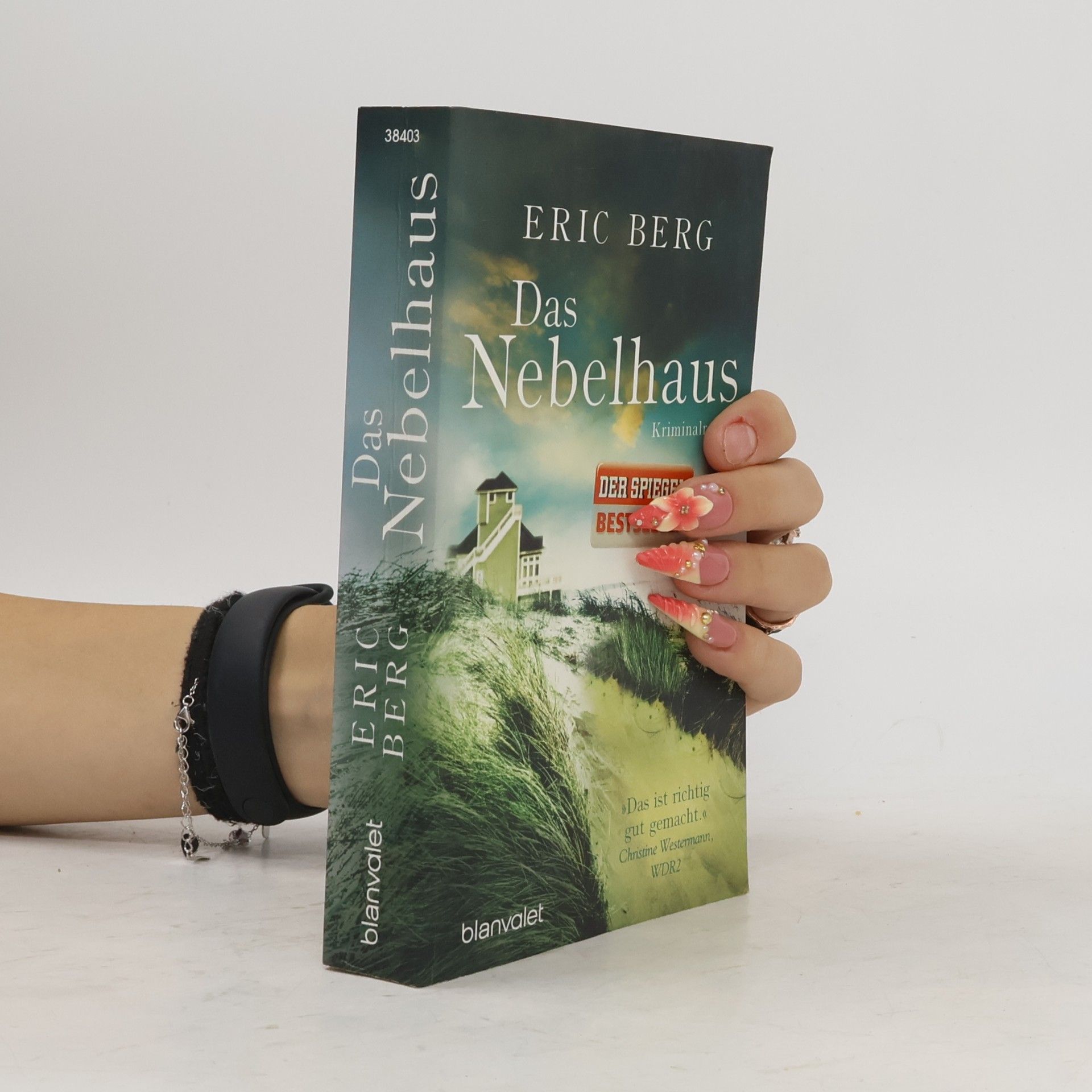 Das Nebelhaus
