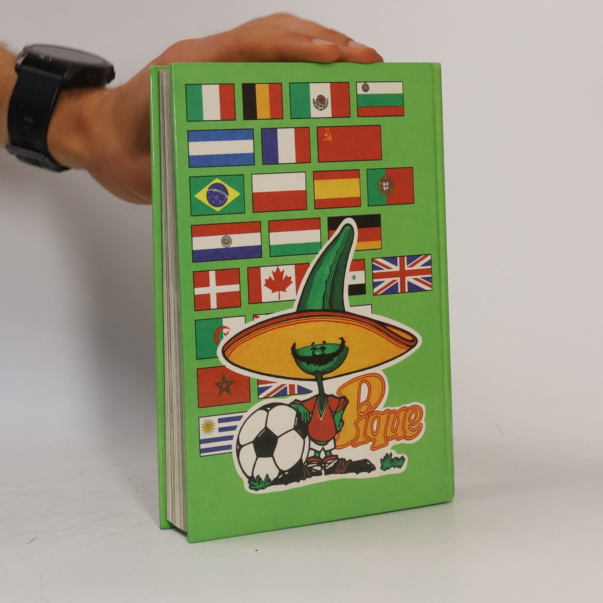 Kolektiv autorů Fußball-Weltmeisterschaft