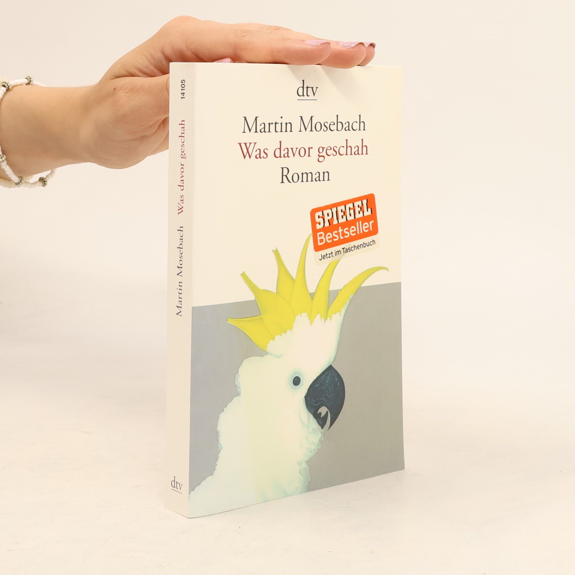 Martin Mosebach Was davor geschah