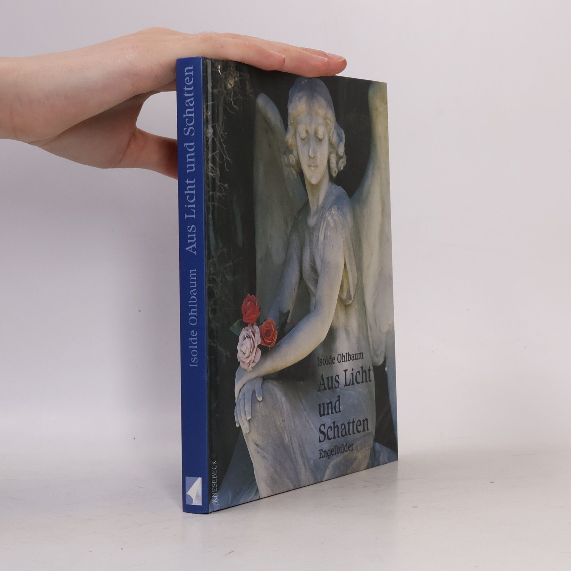 Isolde Ohlbaum Aus Licht und Schatten