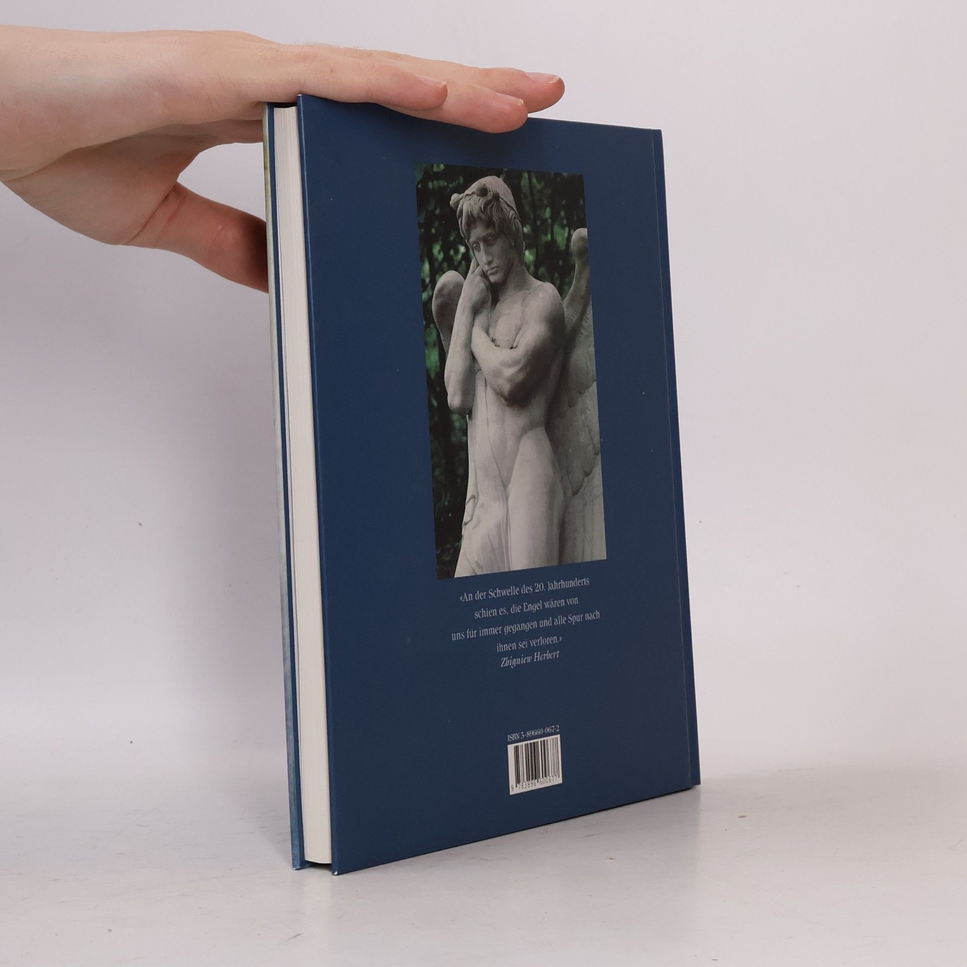 Isolde Ohlbaum Aus Licht und Schatten