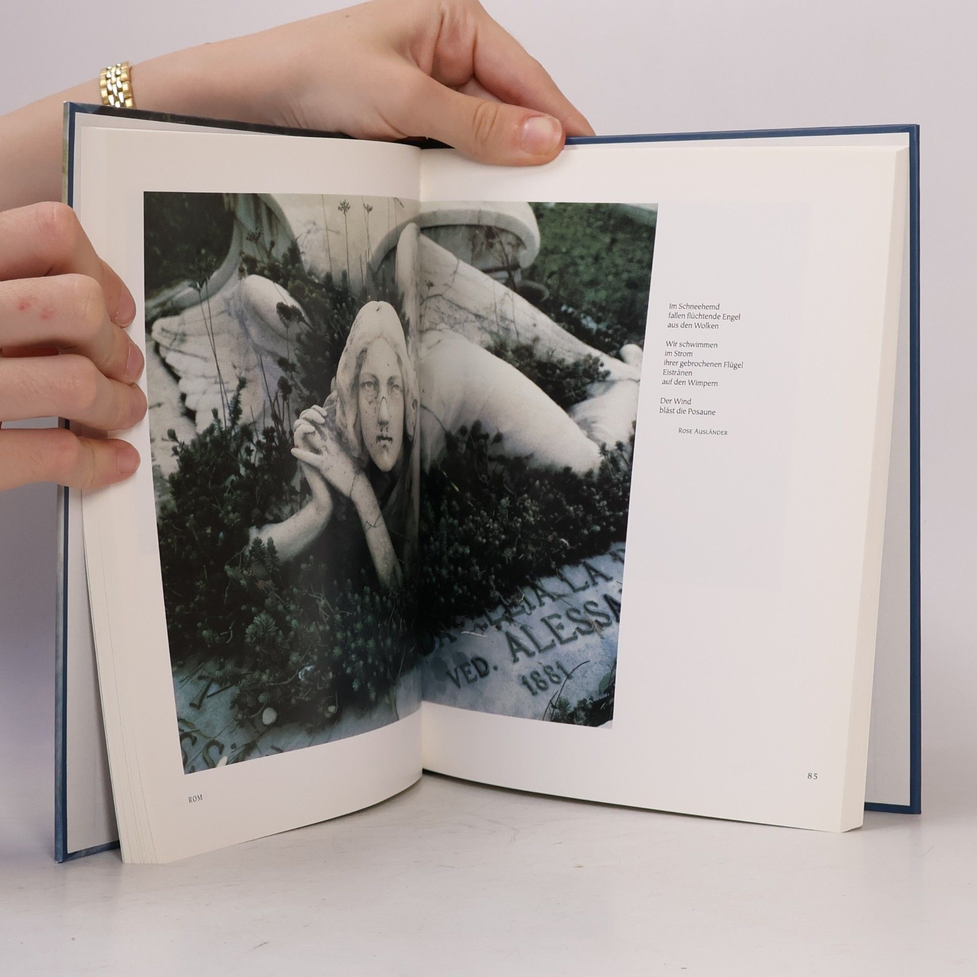 Isolde Ohlbaum Aus Licht und Schatten