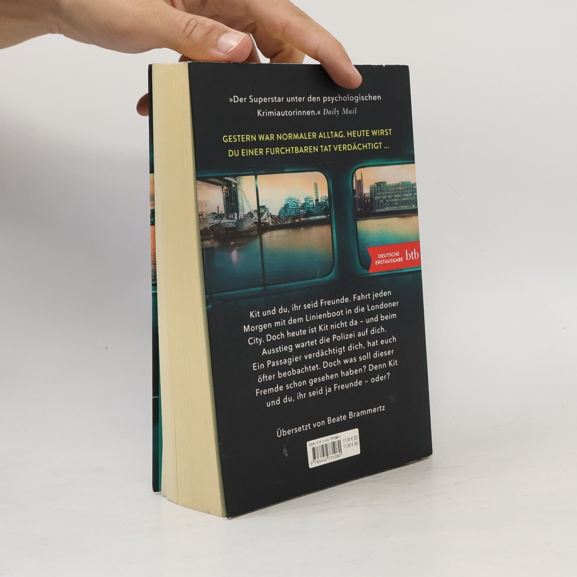 Louise Candlish Der fremde Passagier