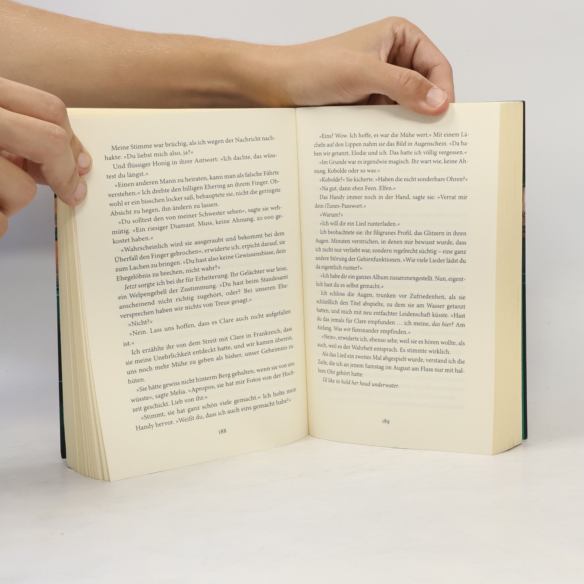Louise Candlish Der fremde Passagier