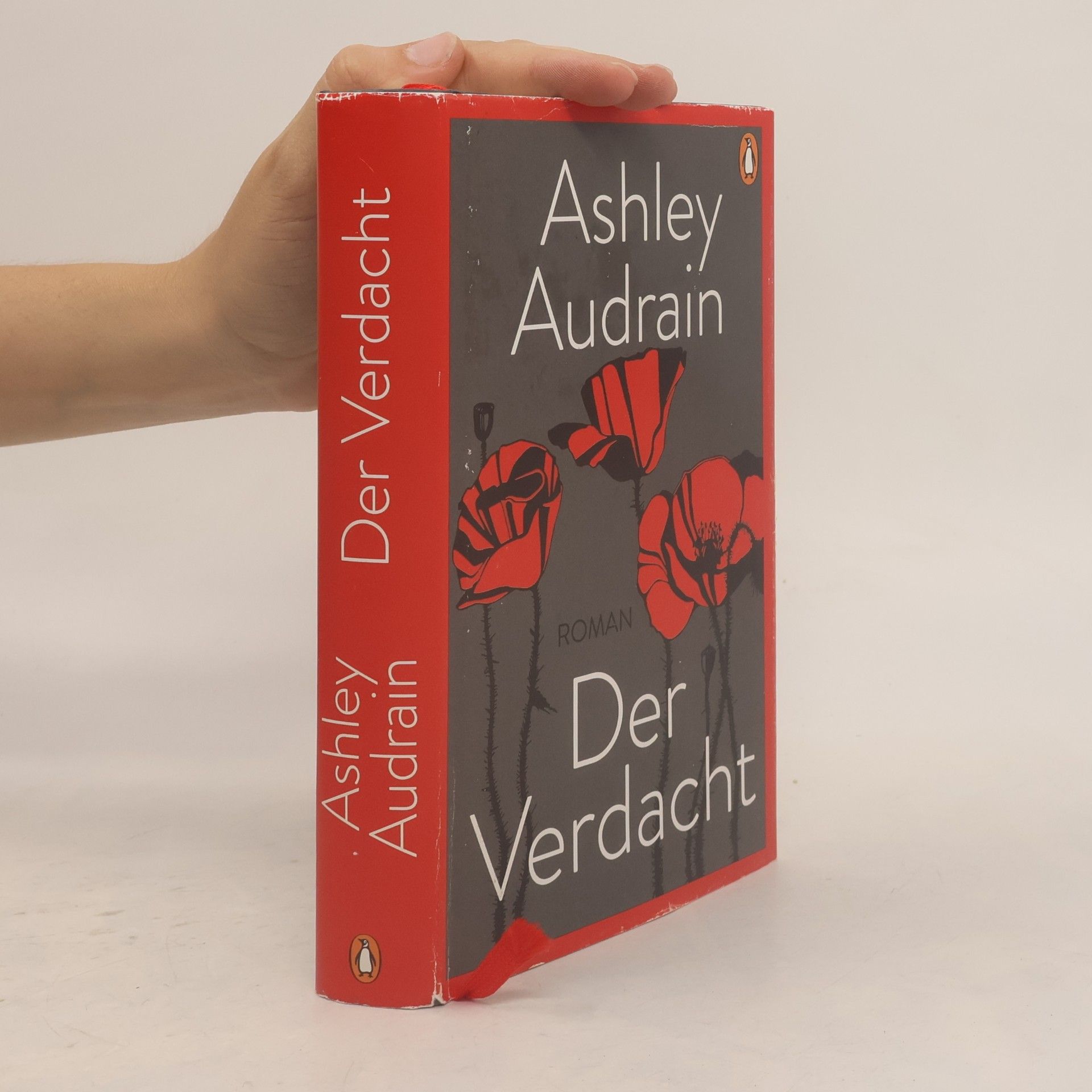 Ashley Audrain Der Verdacht