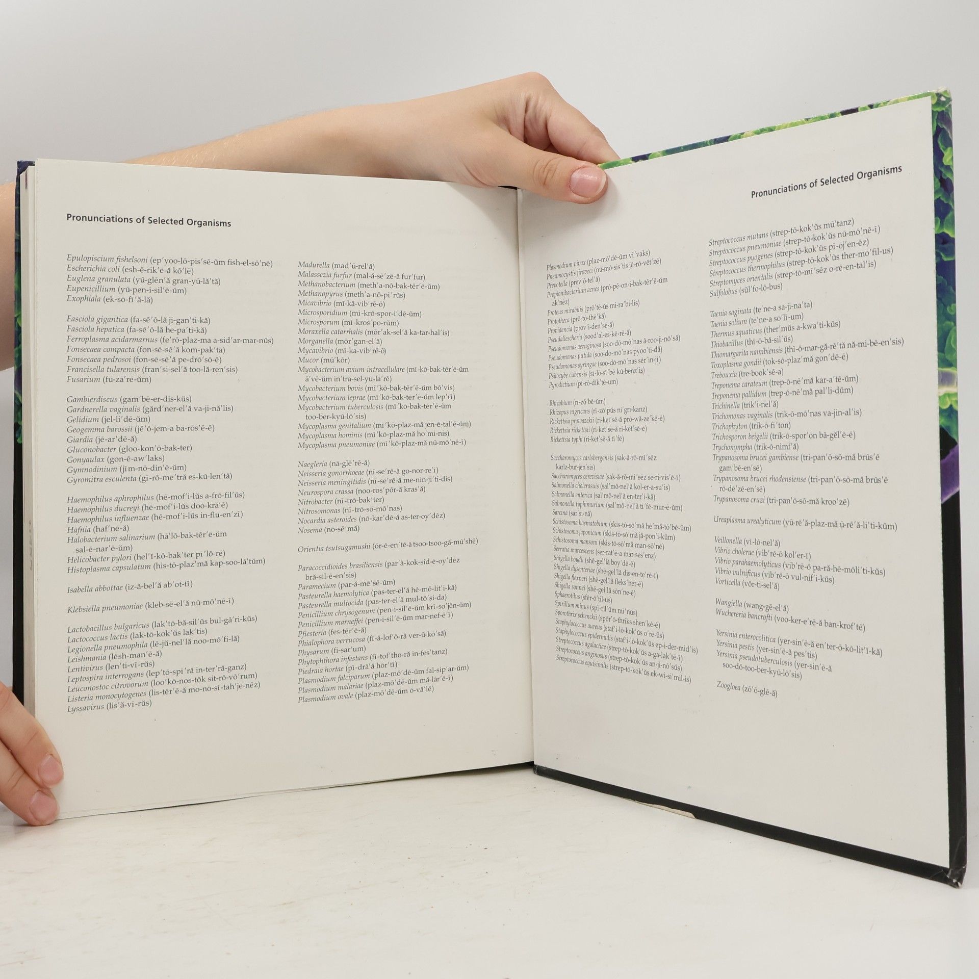 Robert W. Bauman Microbiology With Diseases By Body System