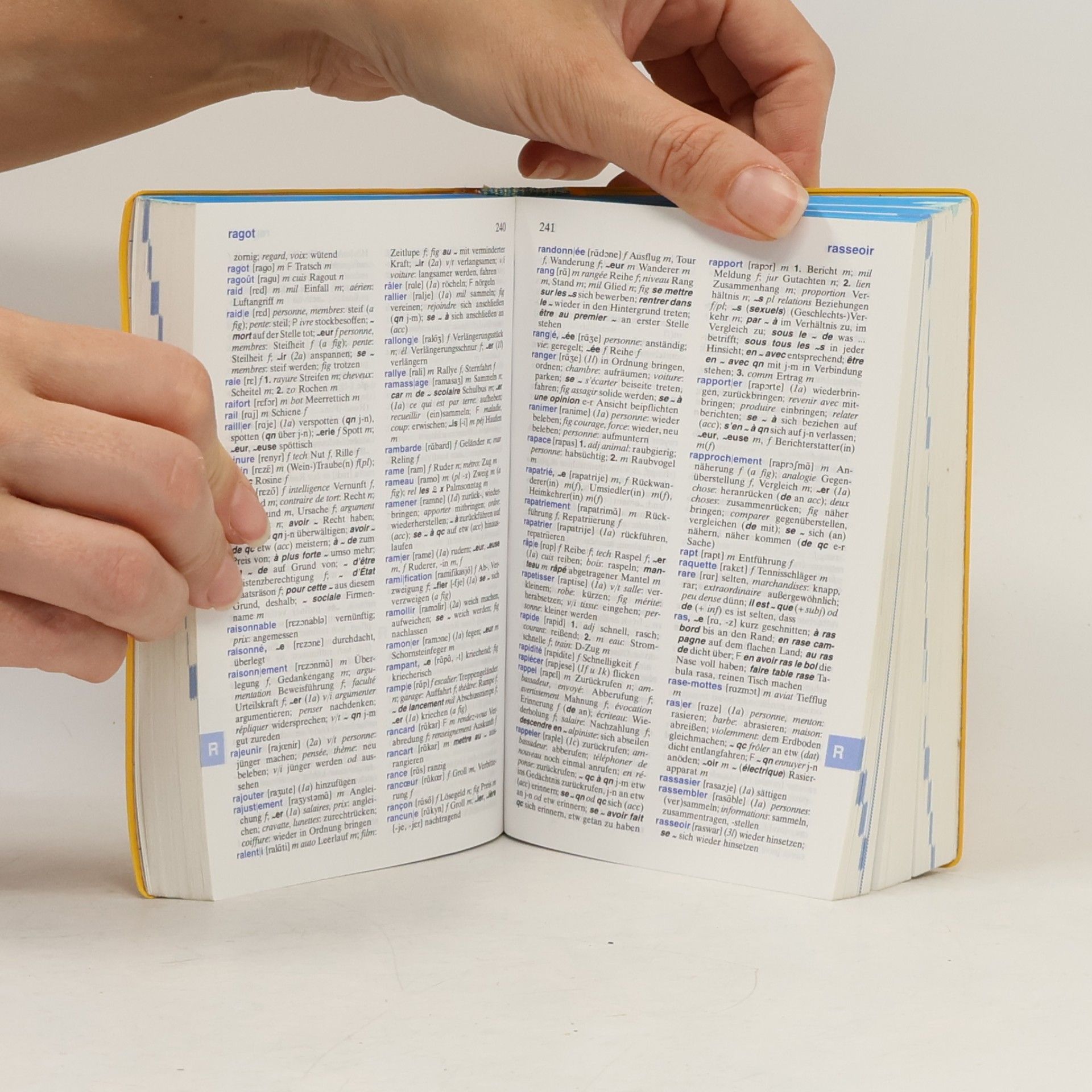 Wolfgang Löffler Langenscheidts Eurowörterbuch Französisch