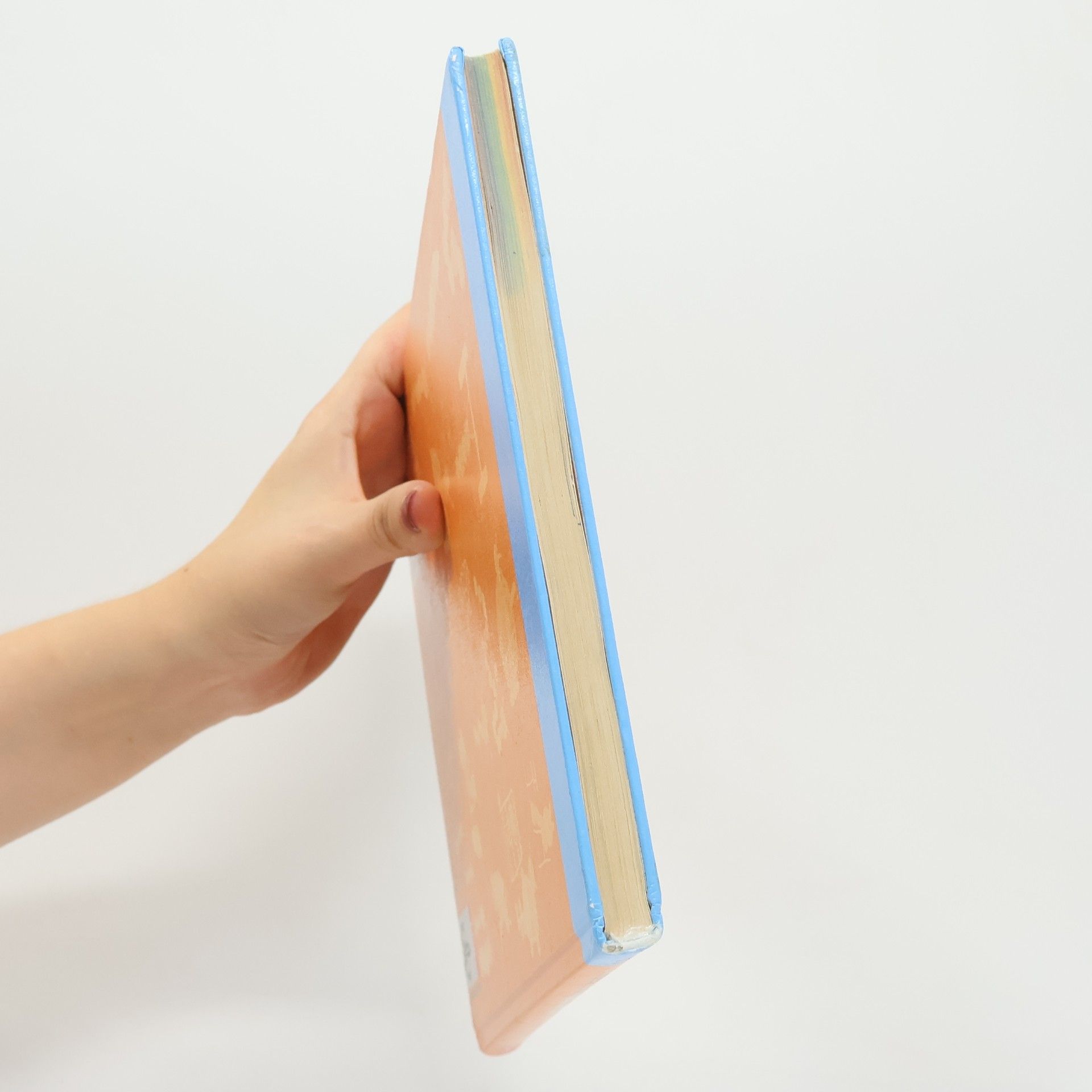 Bücherwurm, Lesebuch, neue Rechtschreibung, Mein Lesebuch 3, Ausgabe für Bayern