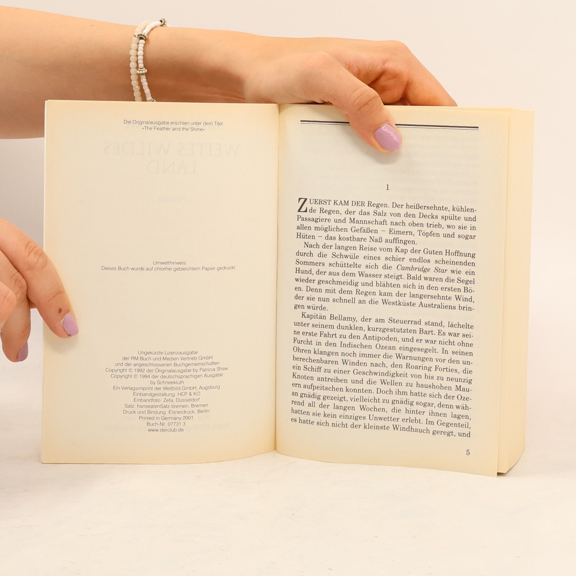 Patricia Shaw Weites wildes Land