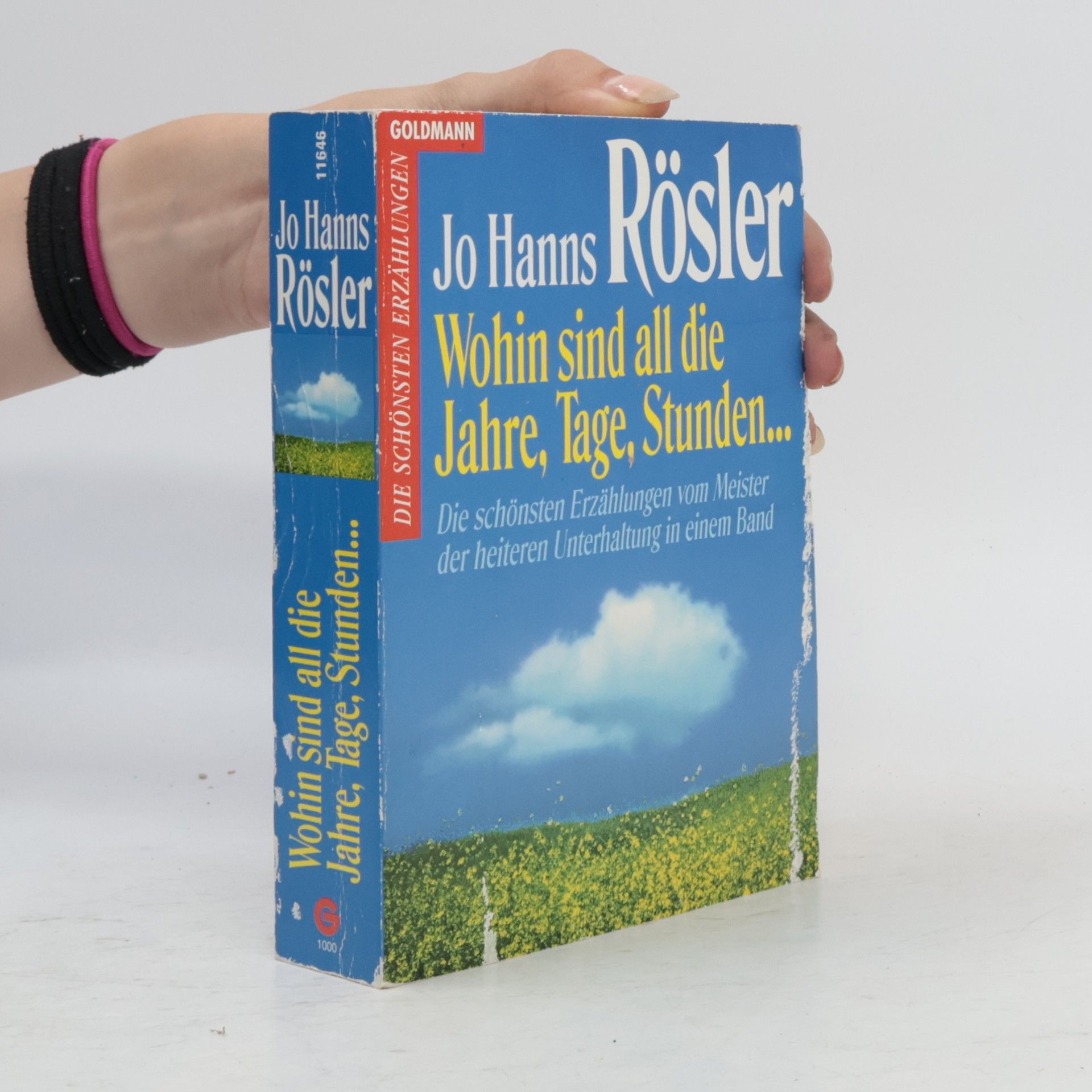 Jo Hanns Rösler Wohin sind all die Jahre, Tage, Stunden