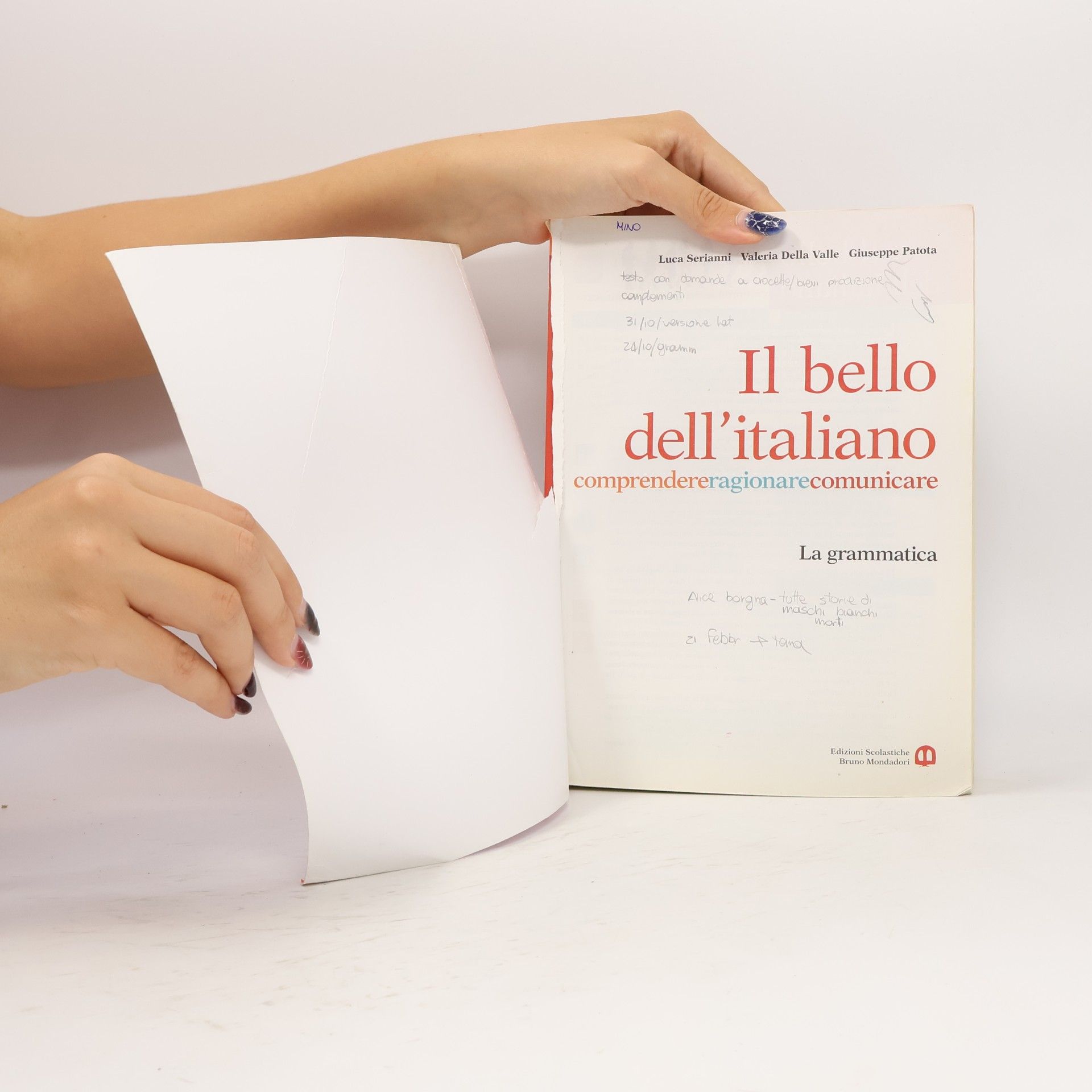 Luca Serianni Il bello dell'italiano