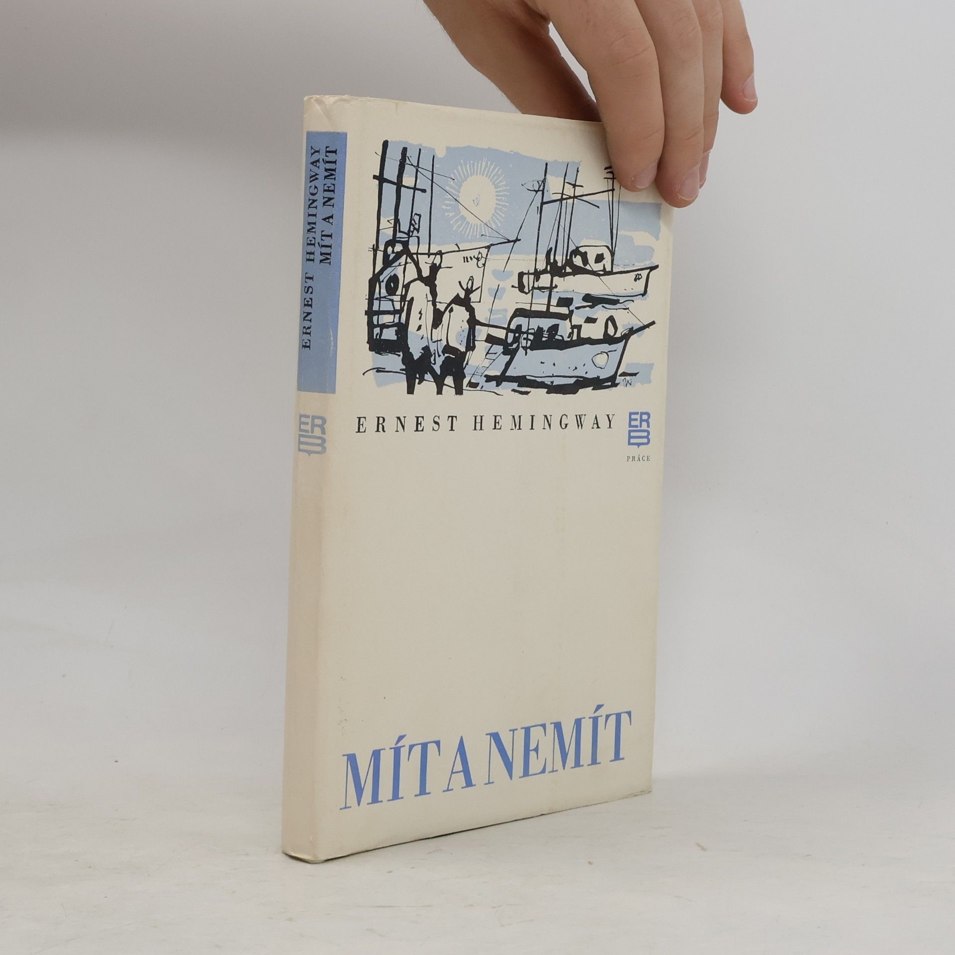 Ernest Hemingway Mít a nemít