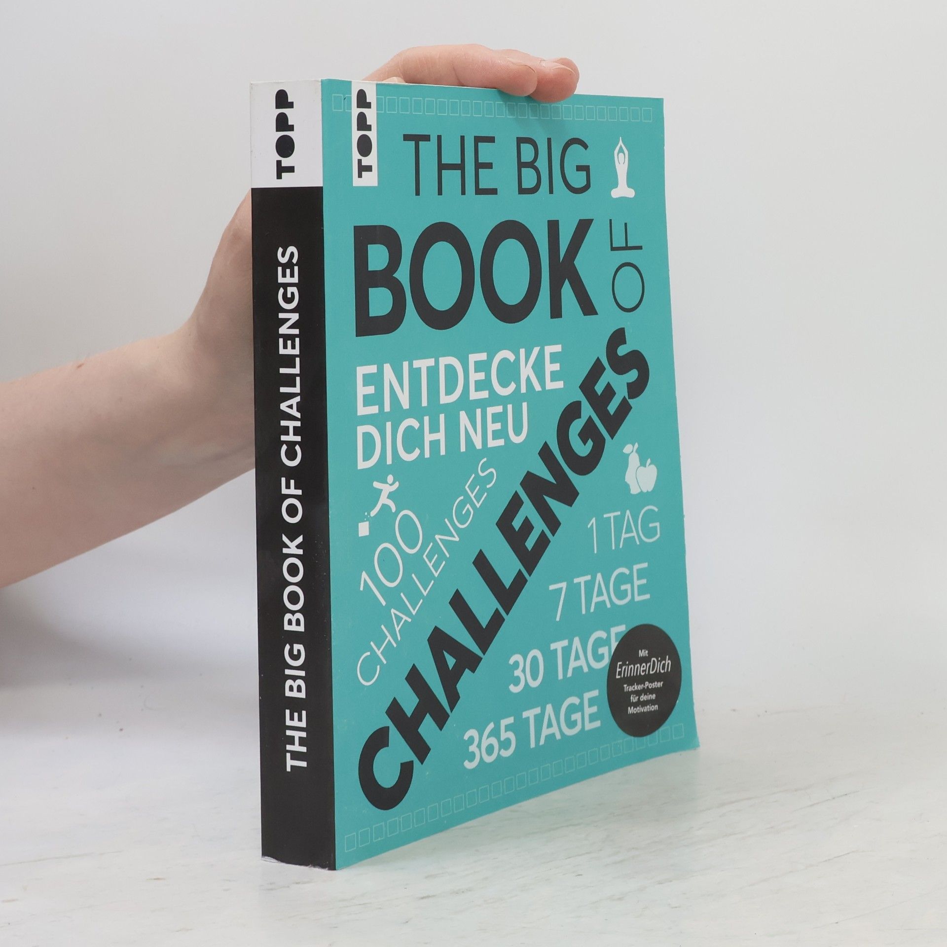 Sabine Hausmann The big book of challenges