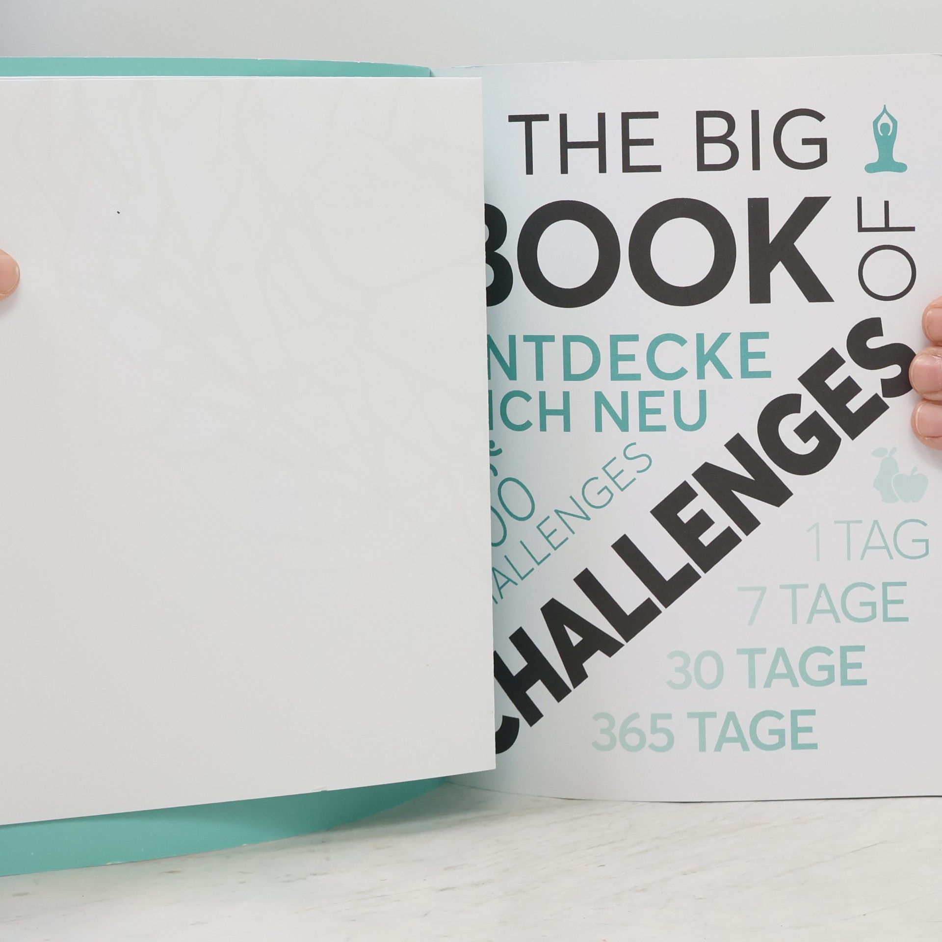 Sabine Hausmann The big book of challenges