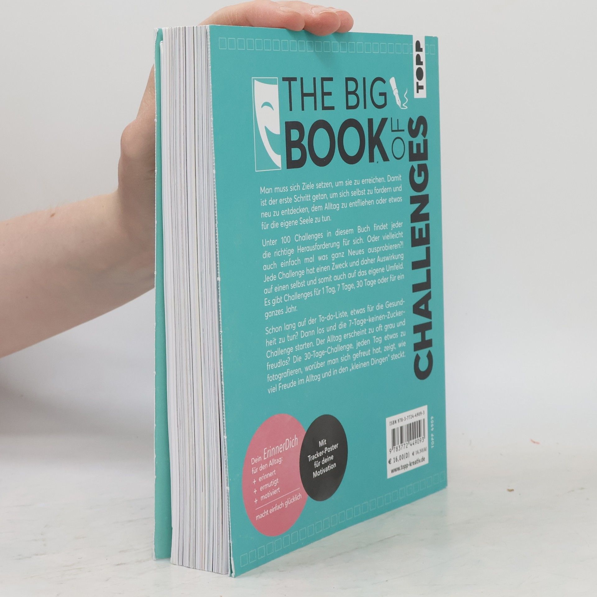 Sabine Hausmann The big book of challenges