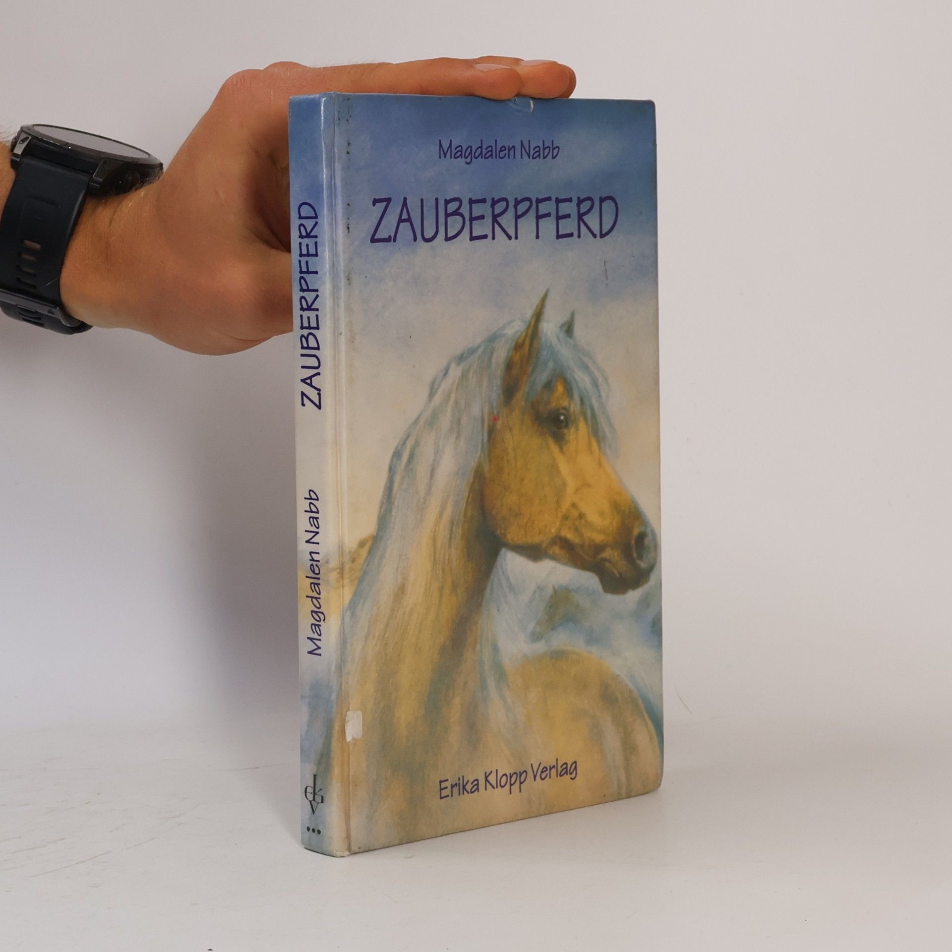 Magdalen Nabb Zauberpferd