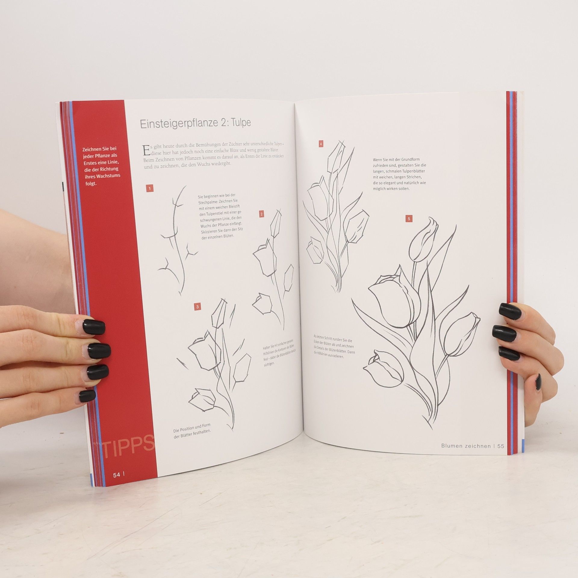 Frechverlag Die Kunst des Zeichnens 15 Minuten - Blumen